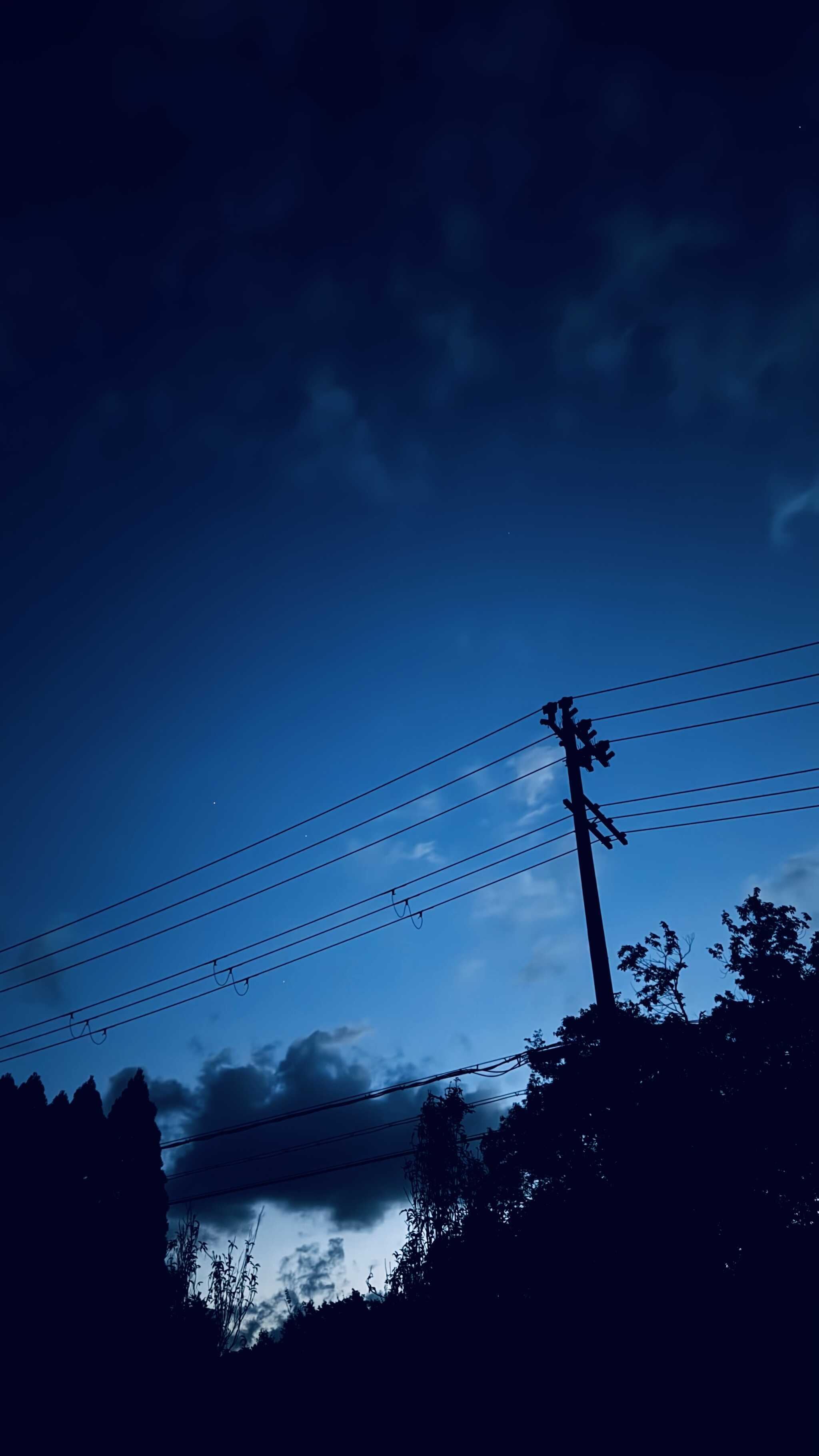 夜明け前です。
