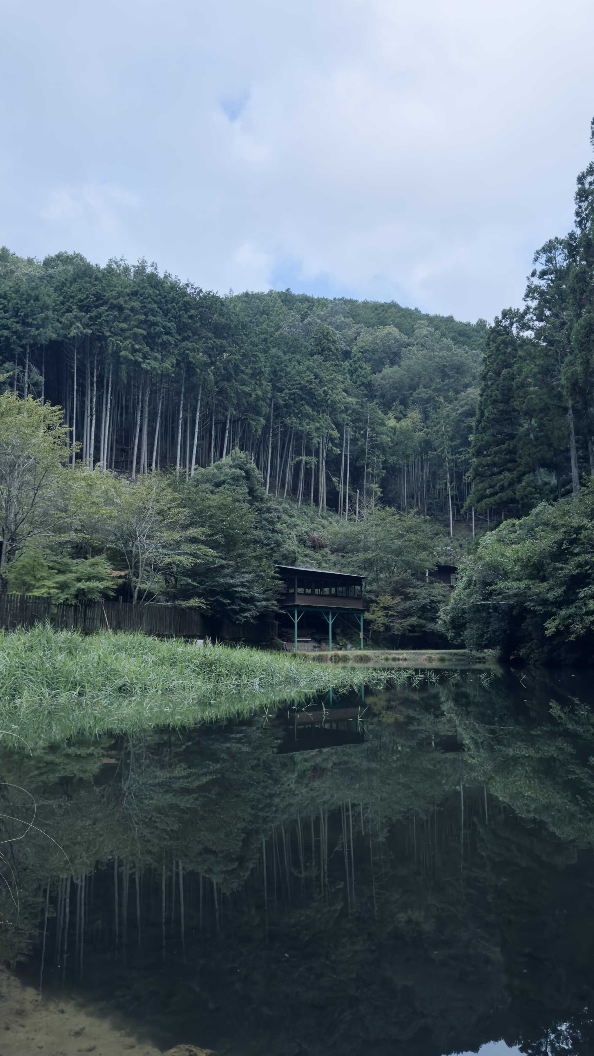 この池?川?の空気がひんやりしてて、また絶対来たい!!と思わされました!