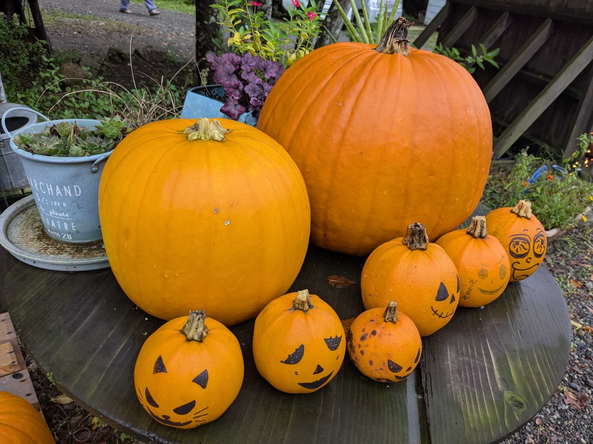ハロウィン〜✨