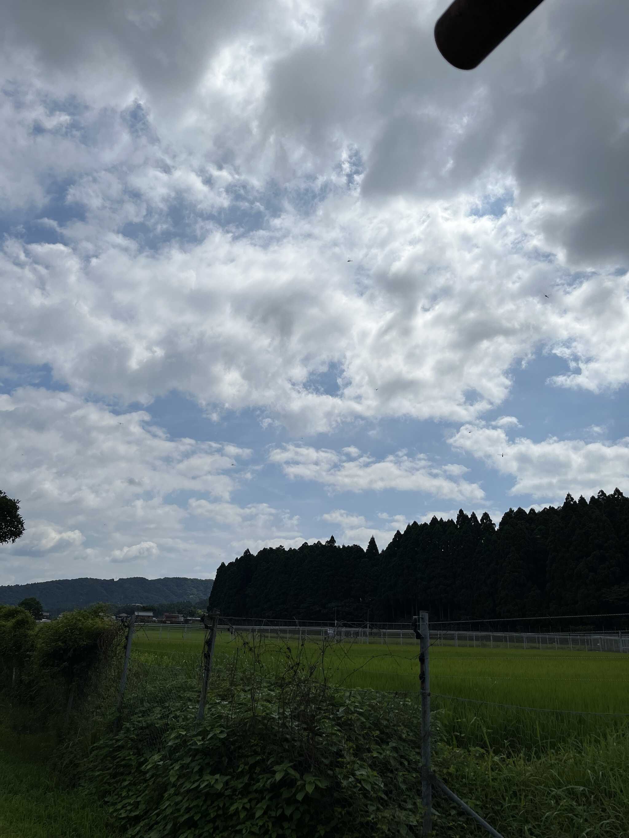サイトからの景色