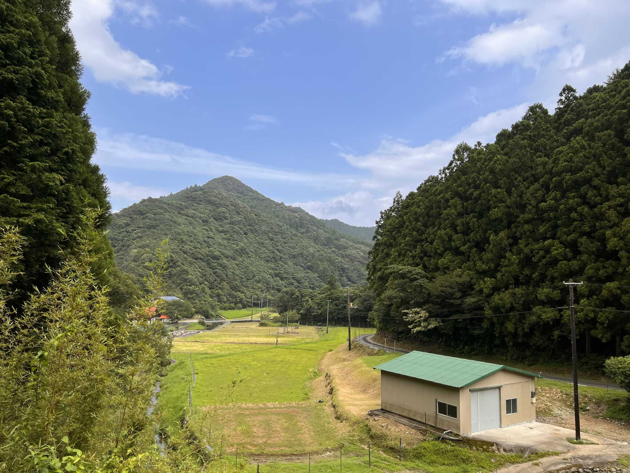 山がきれい!