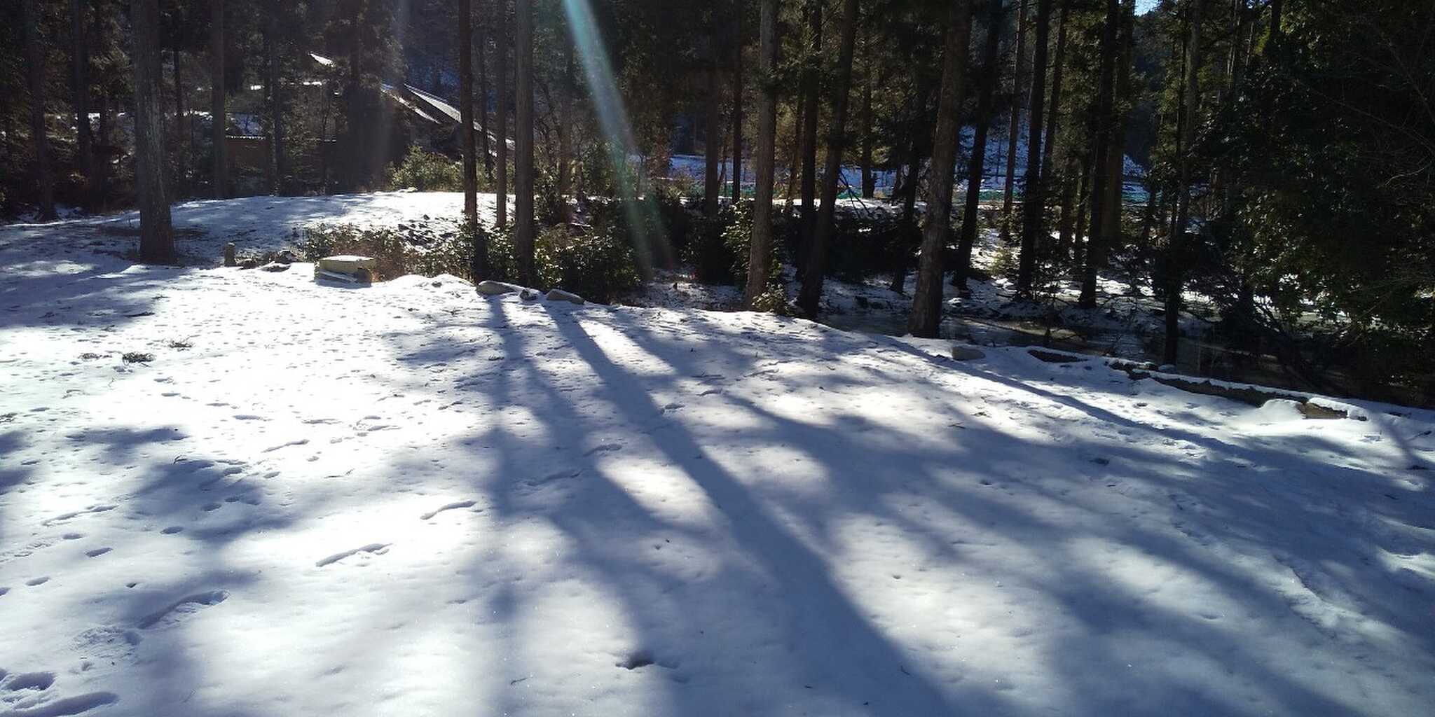 到着時の写真