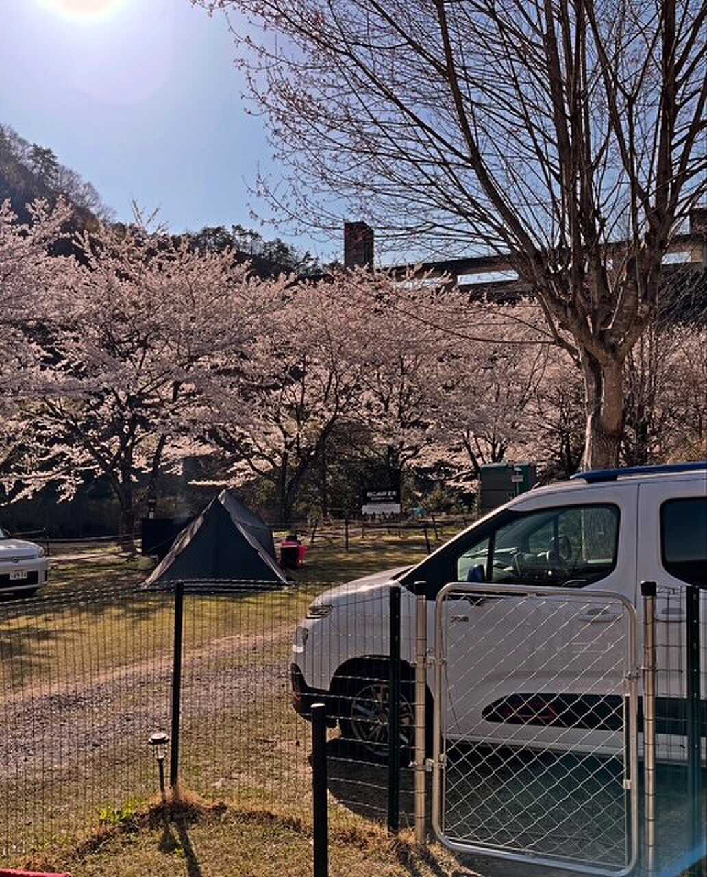 サイトの外から