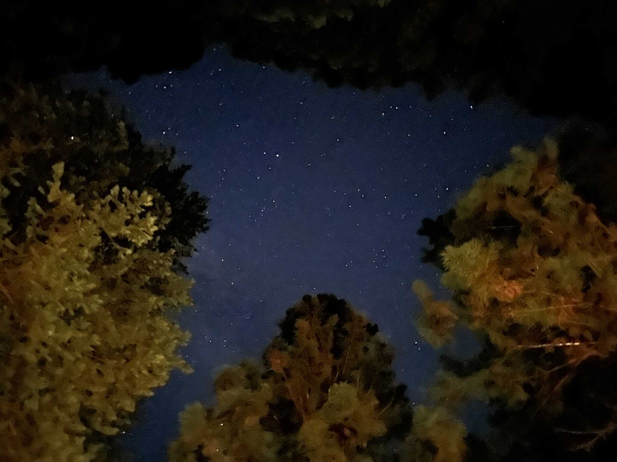 綺麗な星空