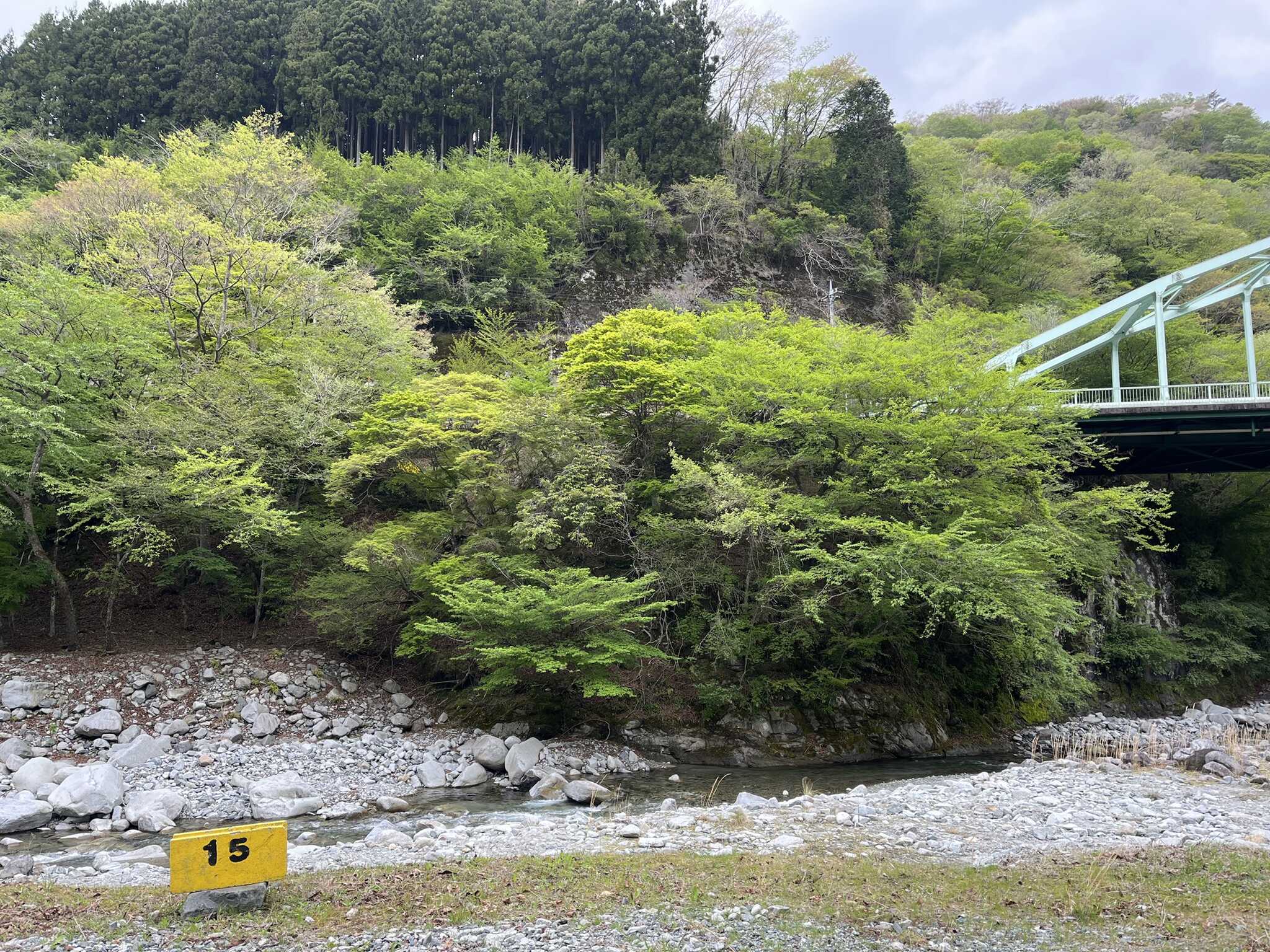 川辺サイトからの眺め