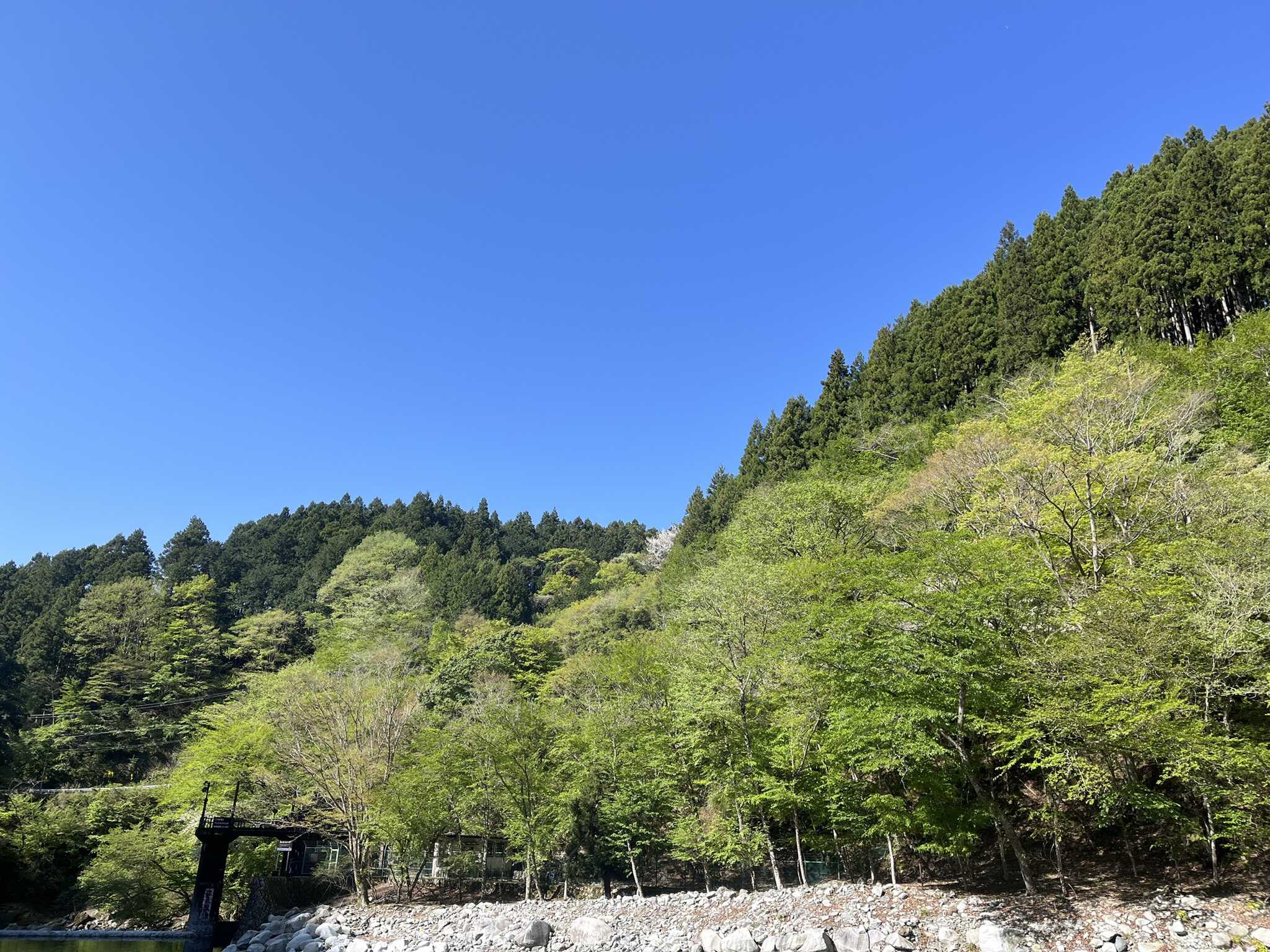 川辺サイトからの眺め