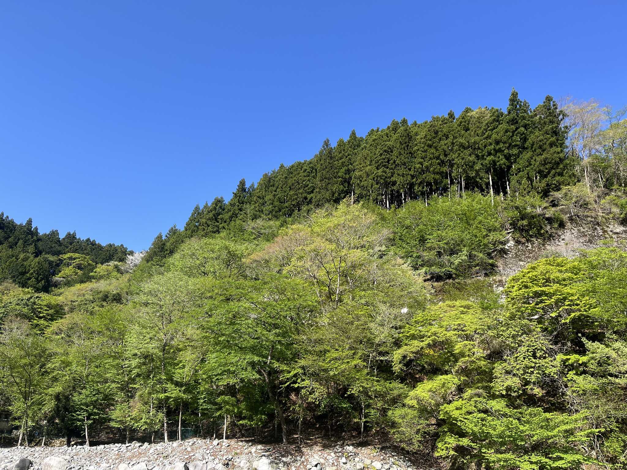 川辺サイトからの眺め