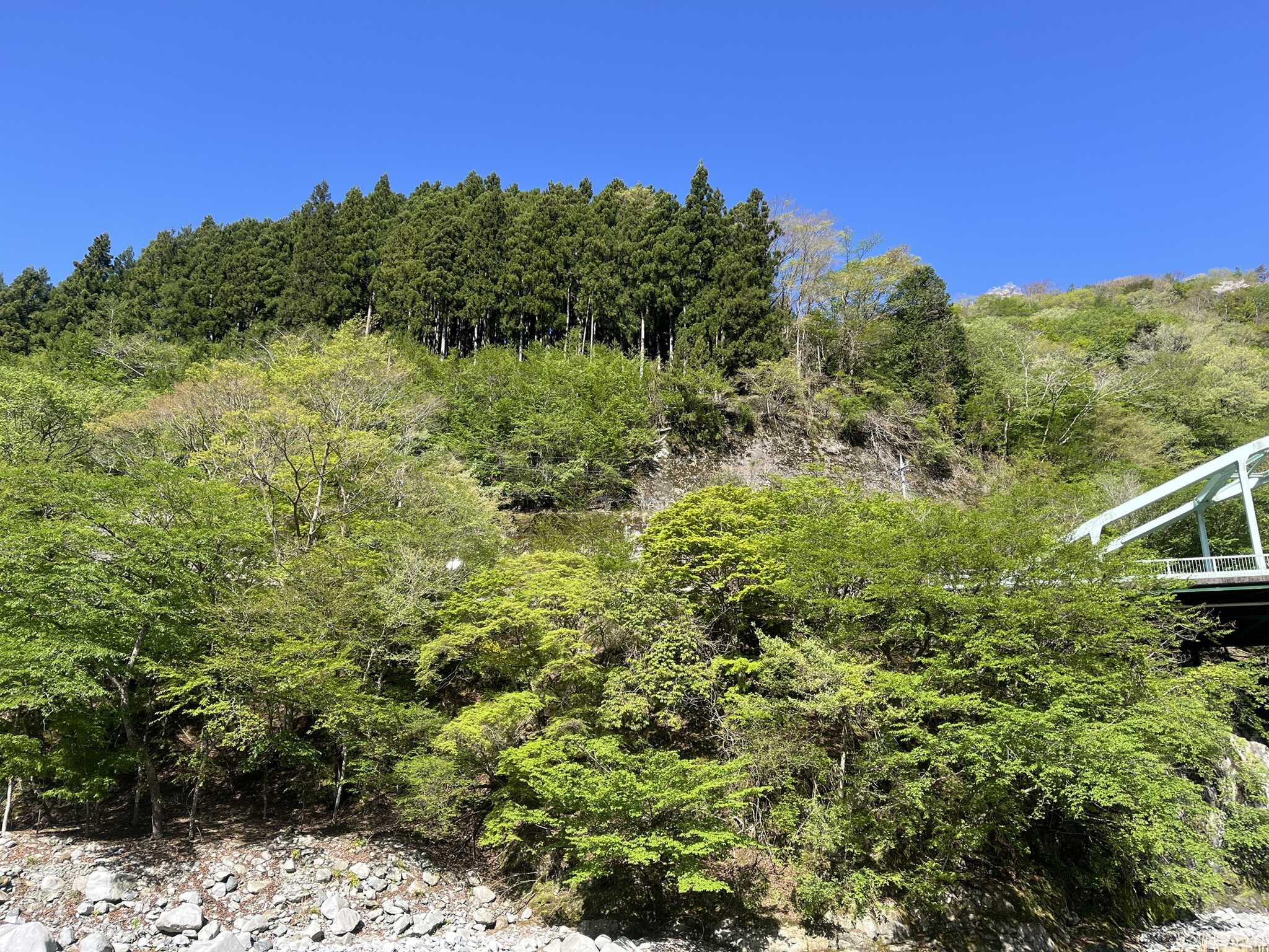 川辺サイトからの眺め