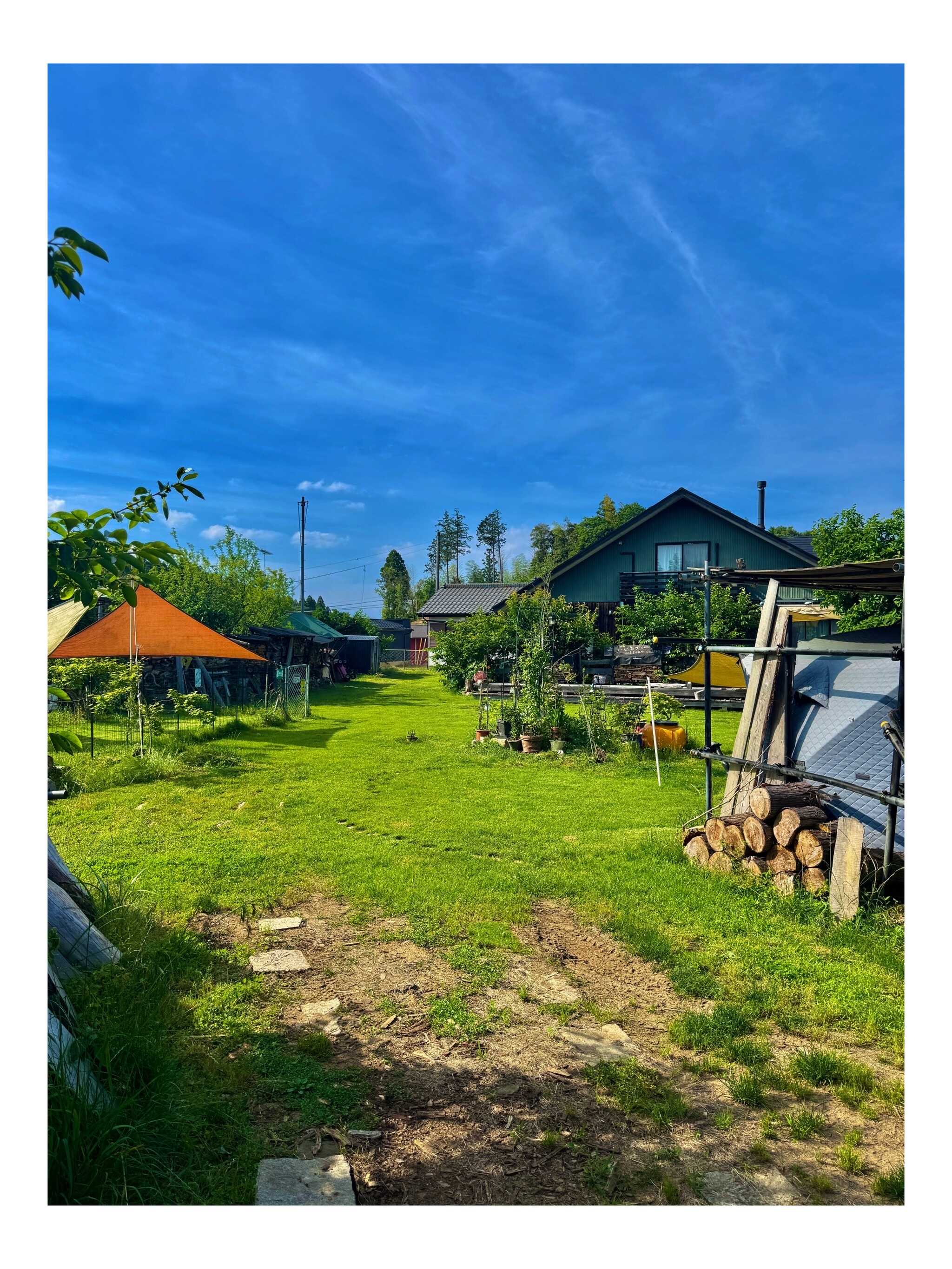 芝生サイト
