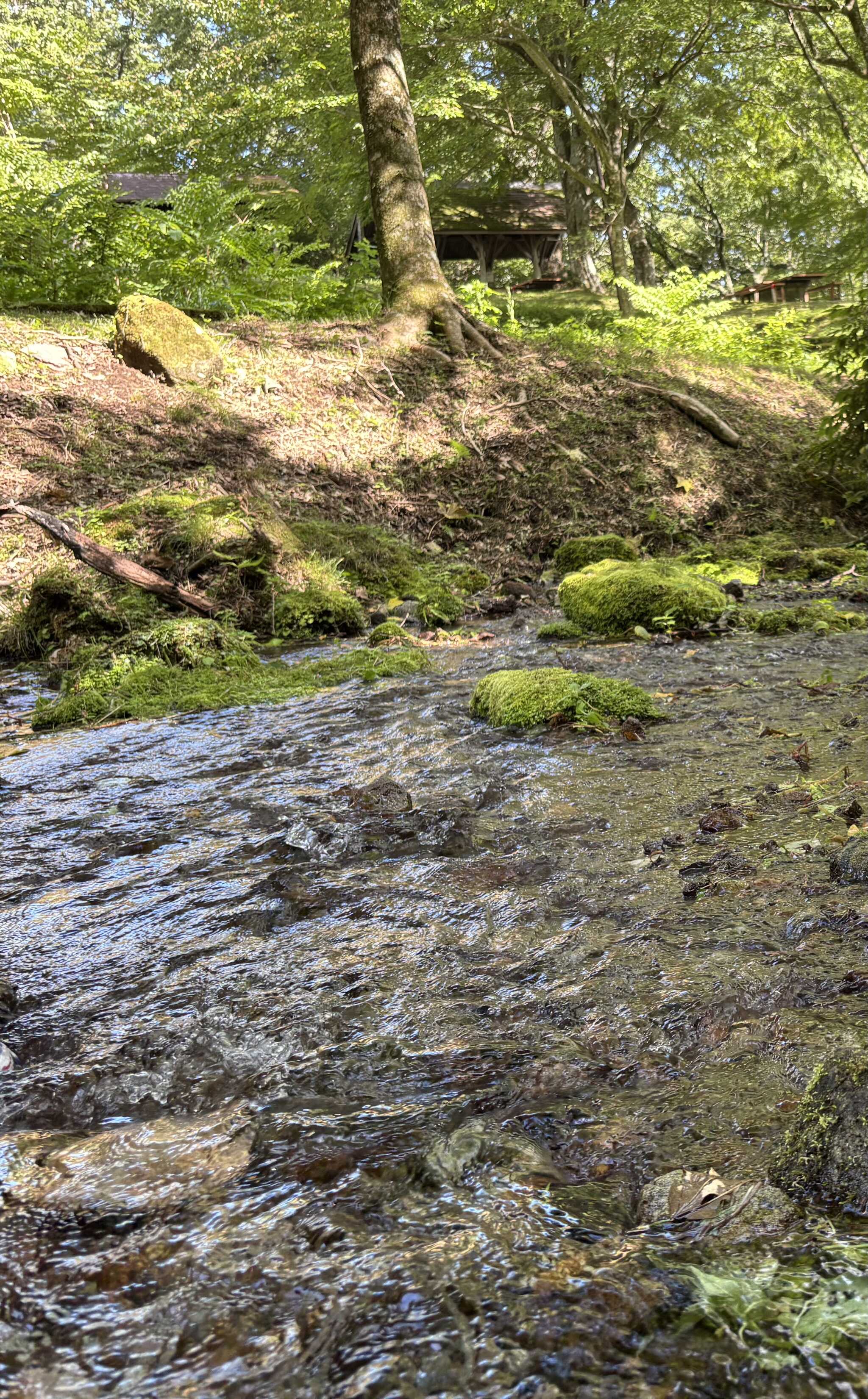 沢があり水遊びできました。