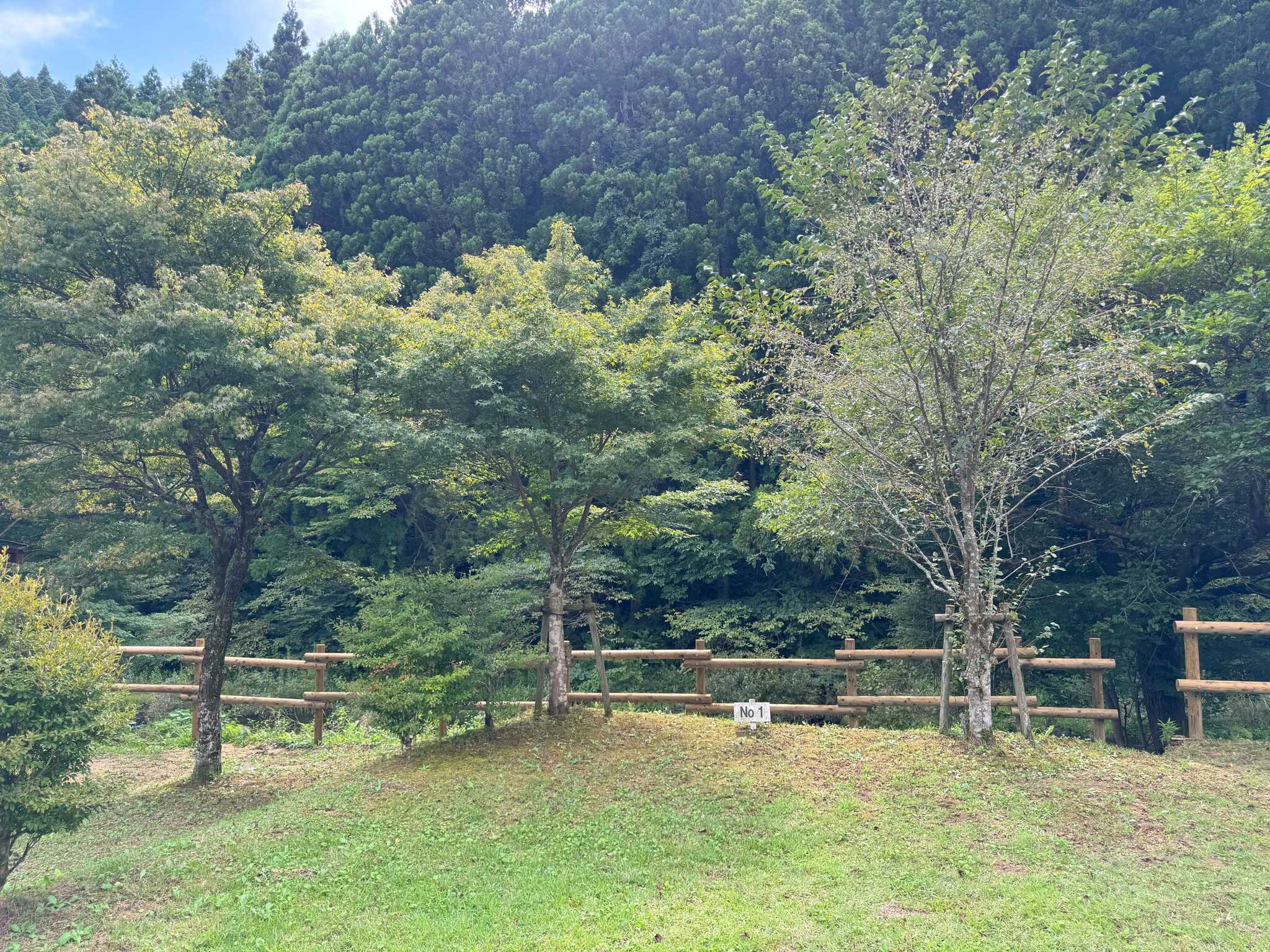 1番サイト(川が良く見えます)