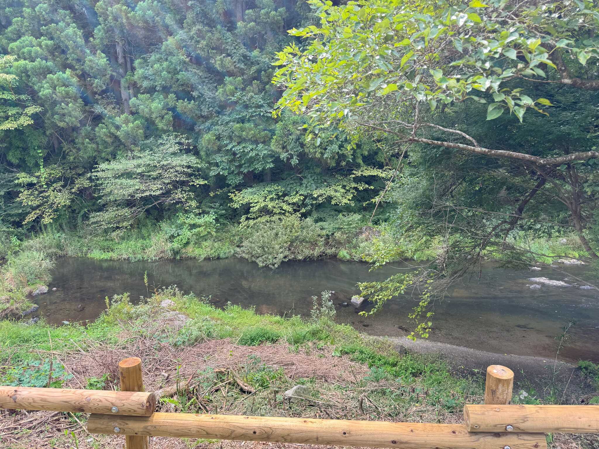 1番サイトで柵まで寄るとこんな感じ