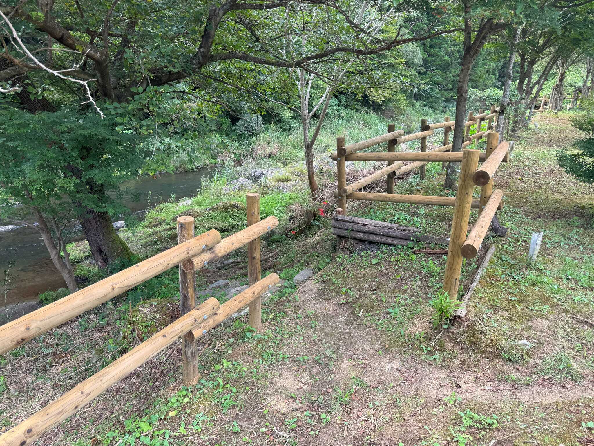 1番サイトからすぐに川に降りる階段があります