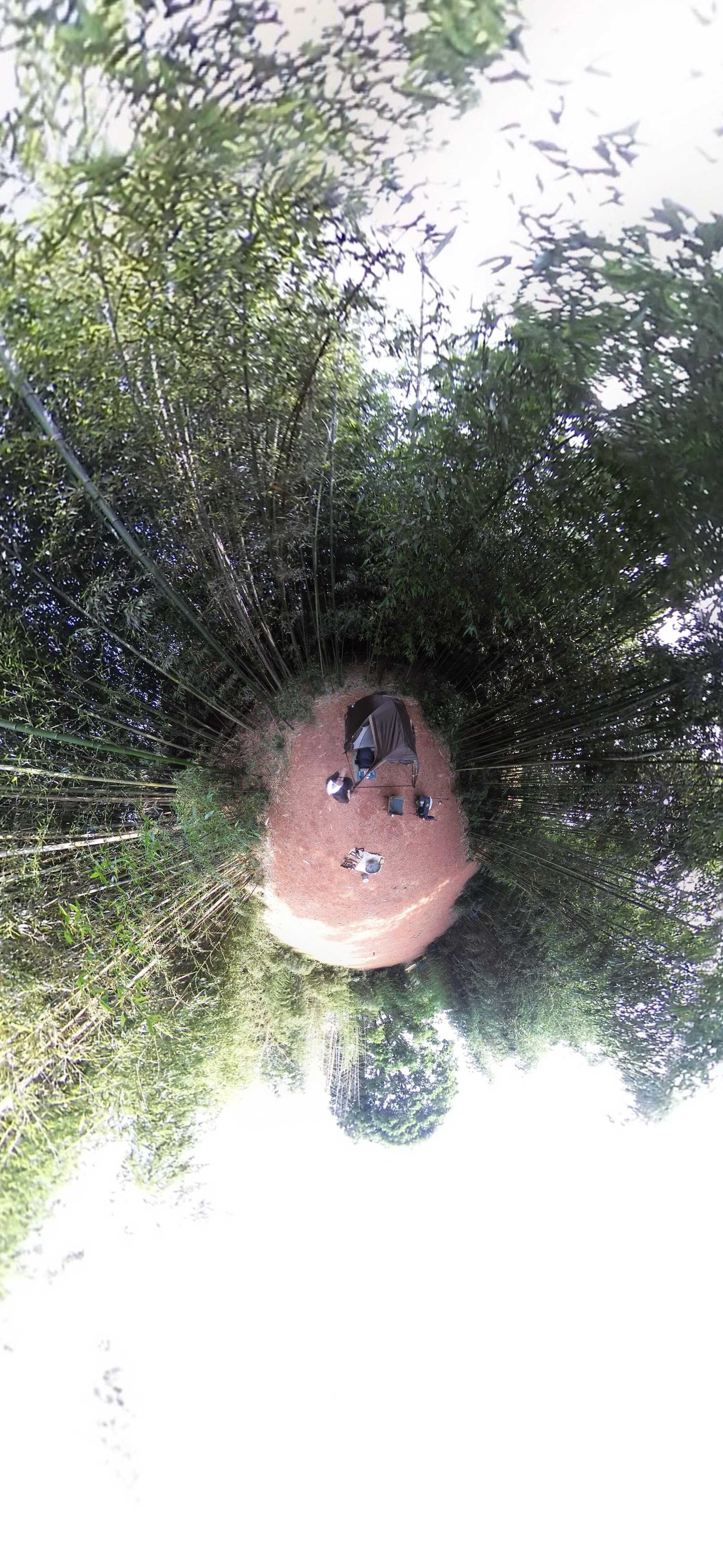 竹林に囲まれて