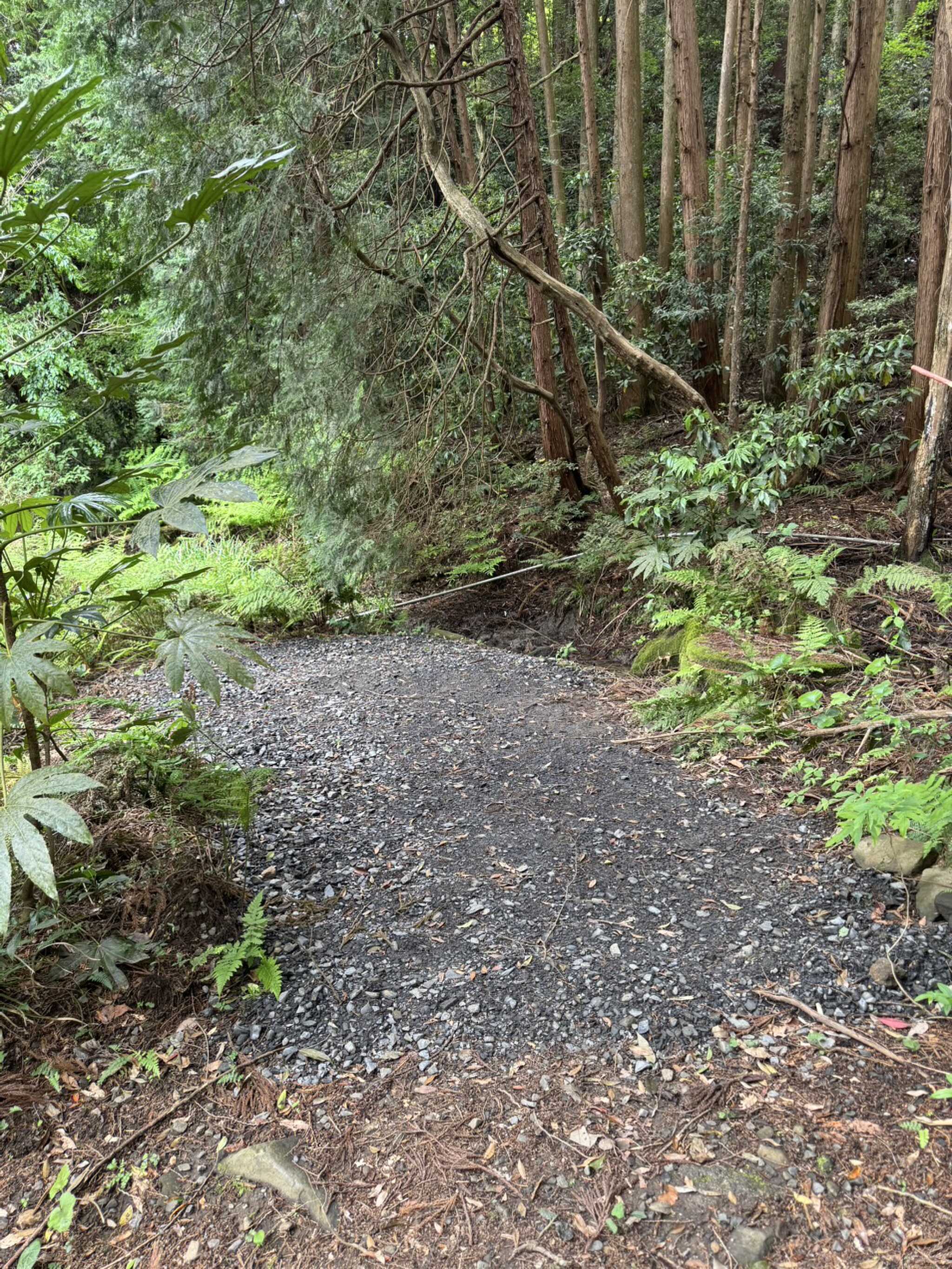 Camp field YASATO Baseの口コミ投稿写真