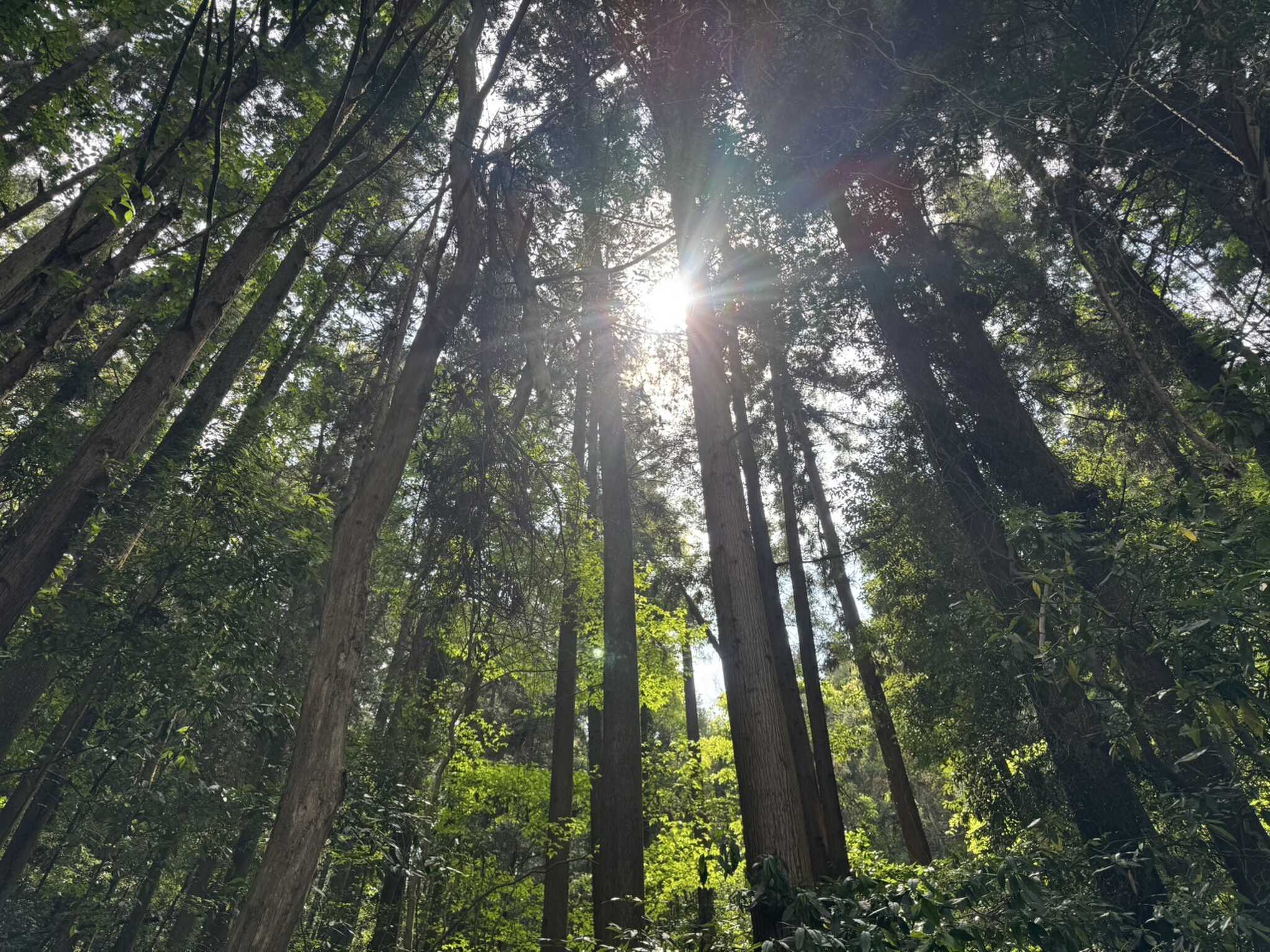 Camp field YASATO Baseの口コミ投稿写真
