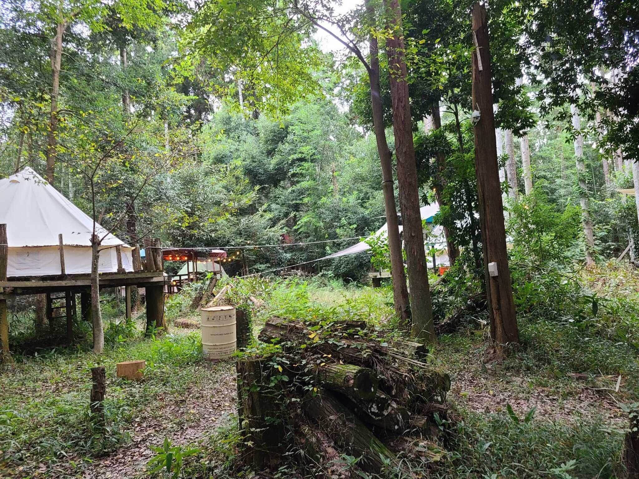 周辺地域
