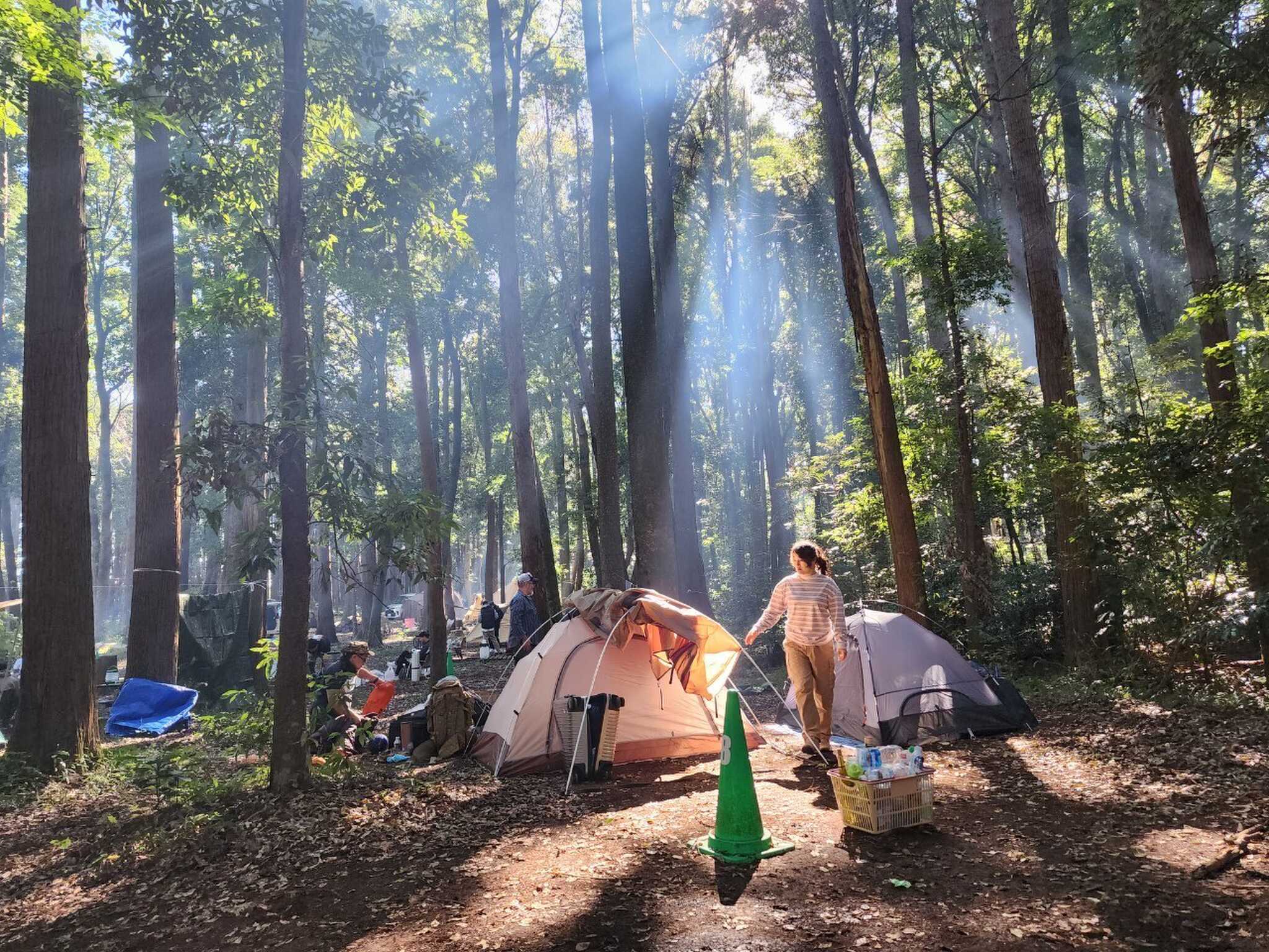キャンプ場8番