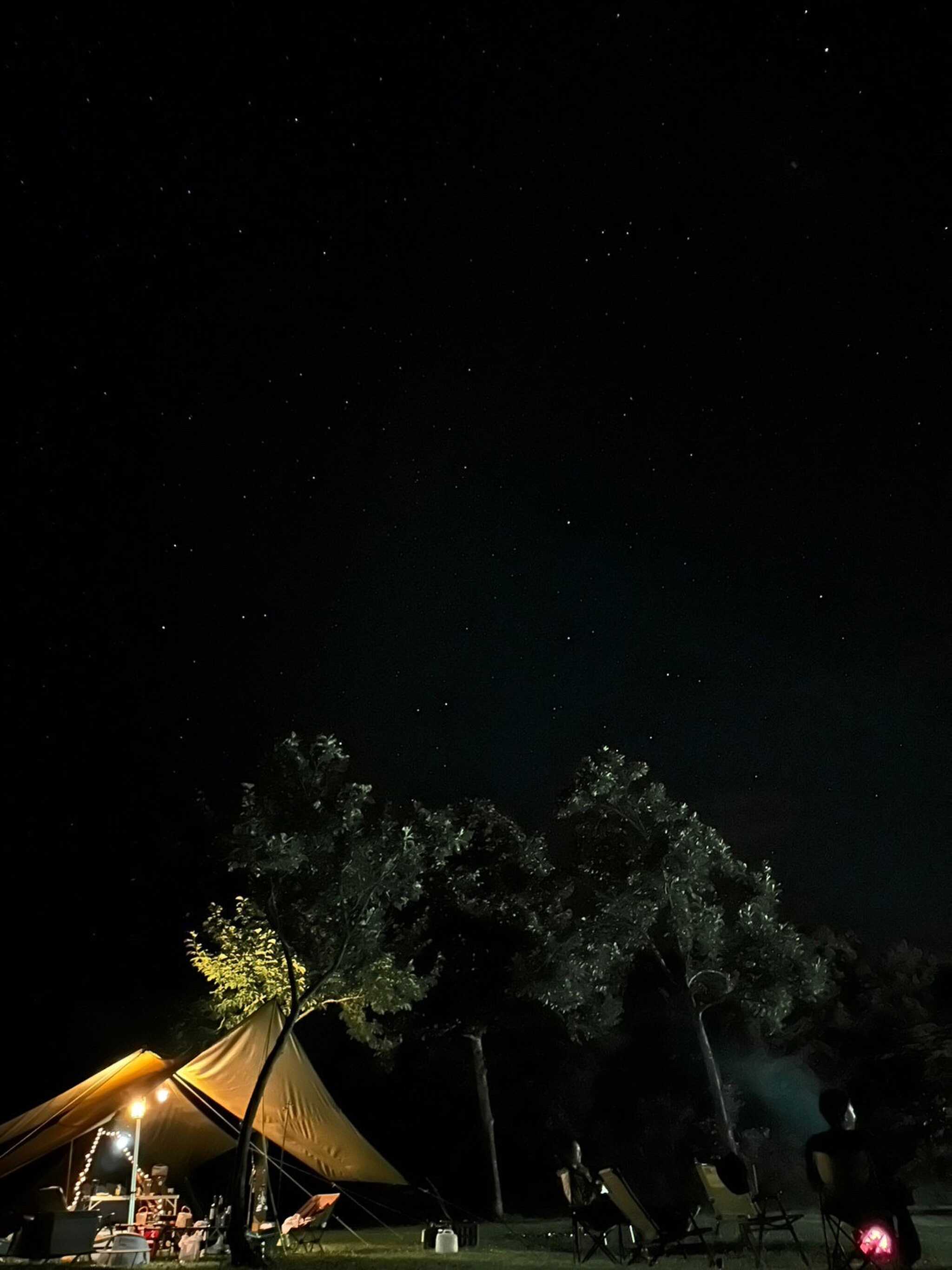 星が綺麗