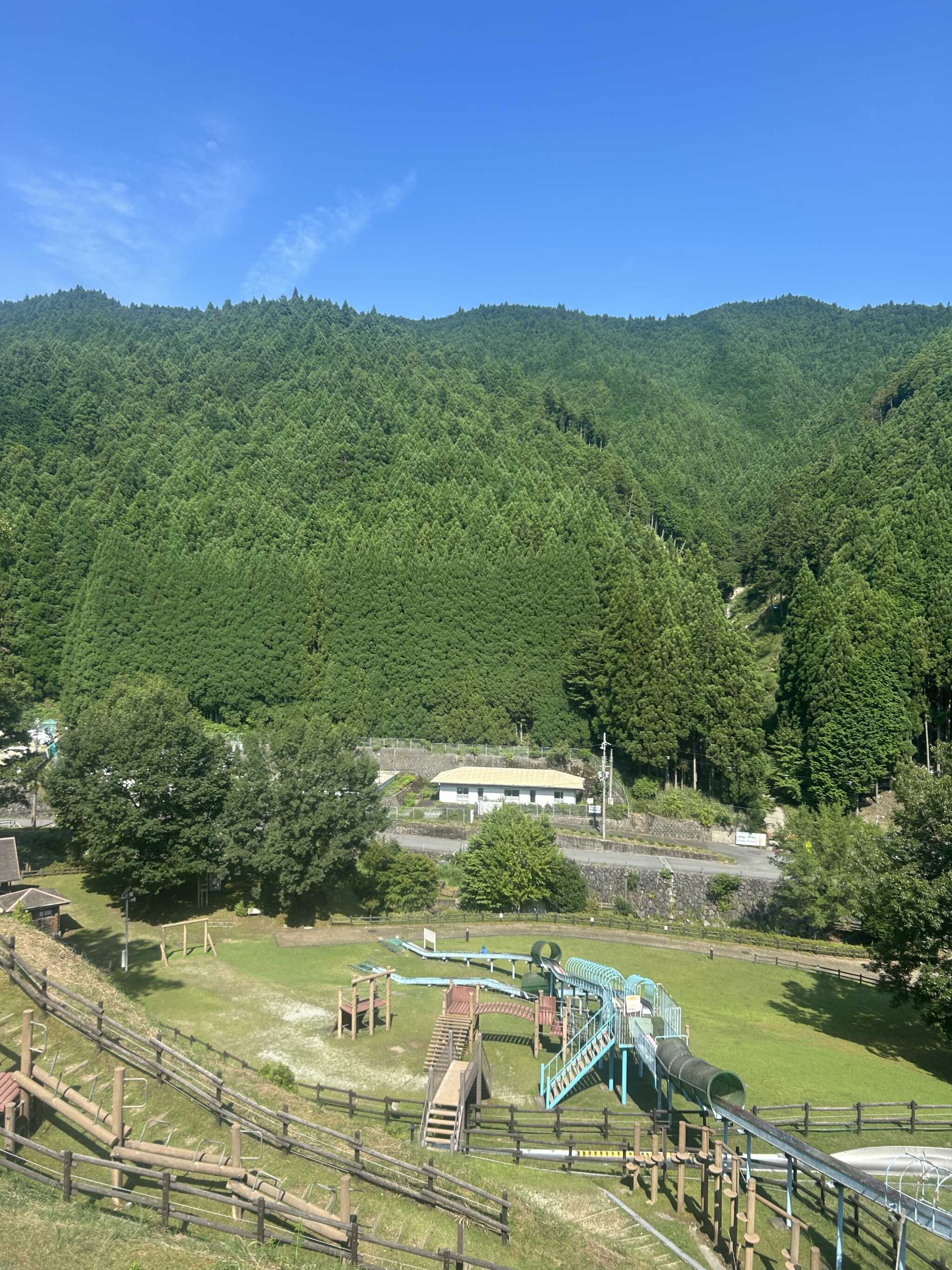 朝の山を独り占め!