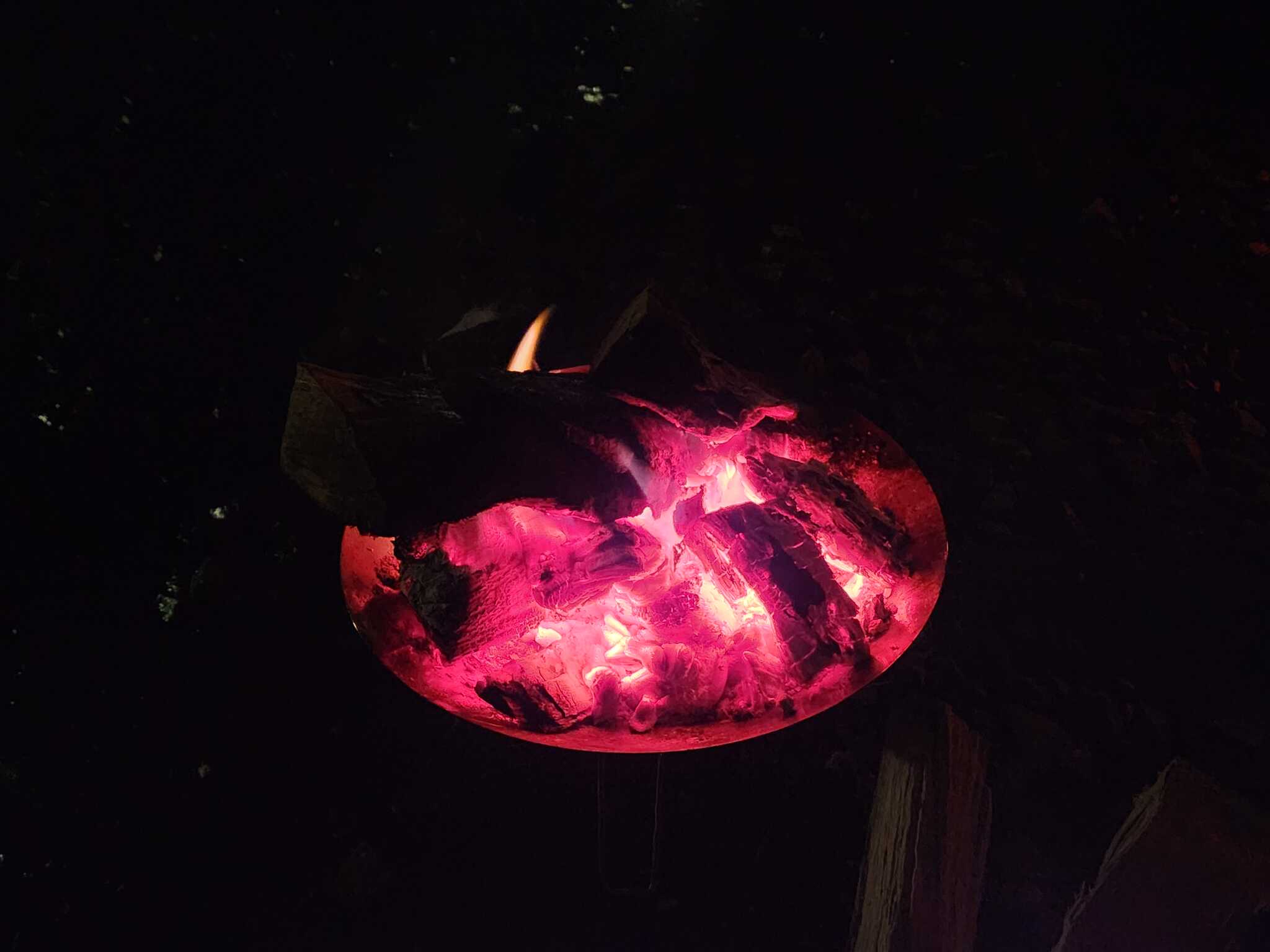 たき火