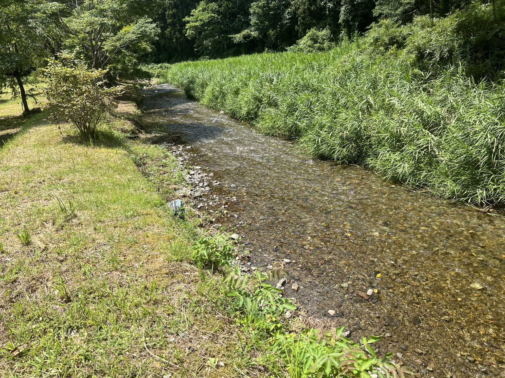 TERA RESOLA NIKKOの口コミ投稿写真