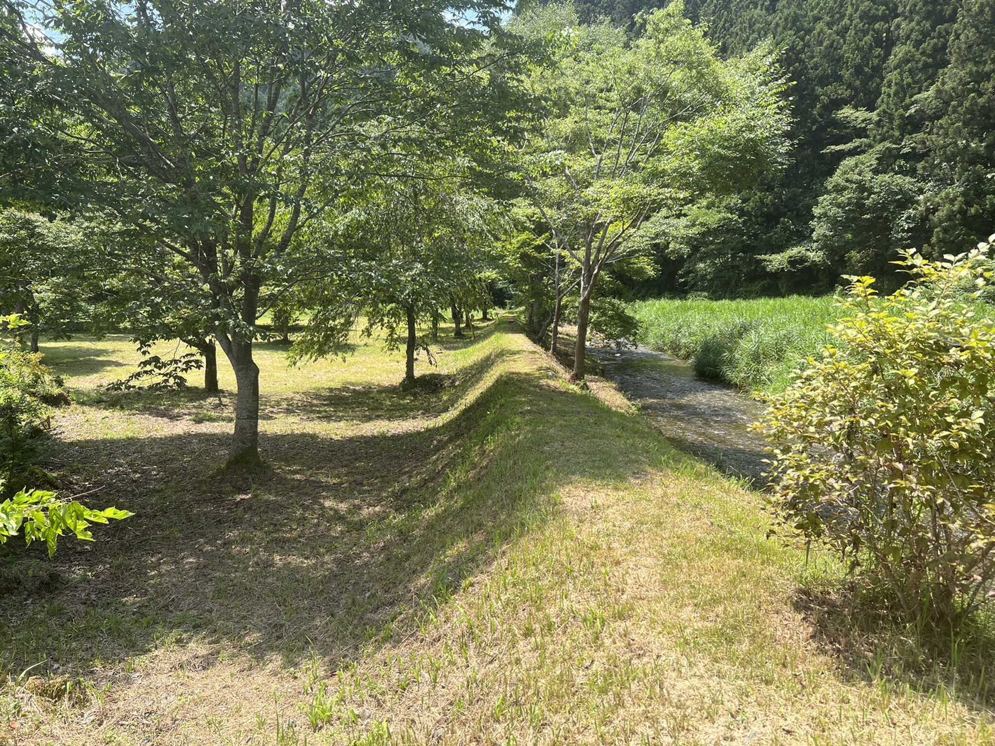 TERA RESOLA NIKKOの口コミ投稿写真
