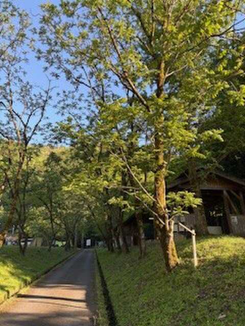 キャンプ場内
