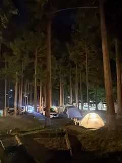 夜の風景