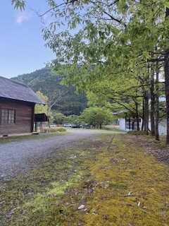 キャンプ場内