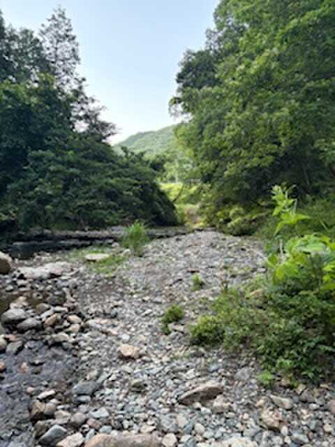 キャンプ場を流れる川