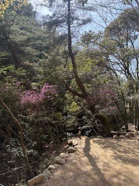 キャンプ場周辺