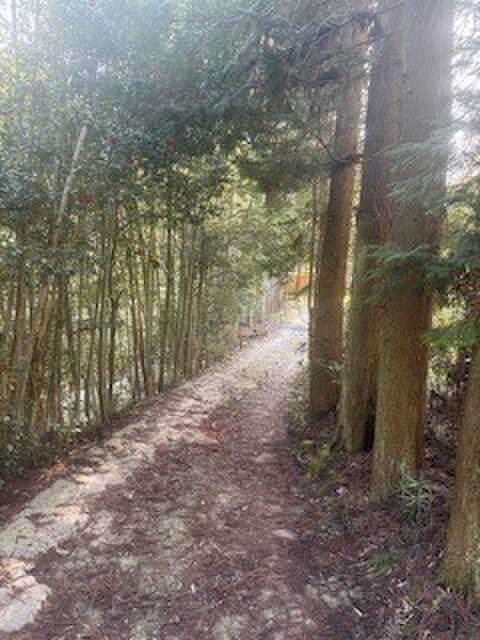 キャンプ場周辺
