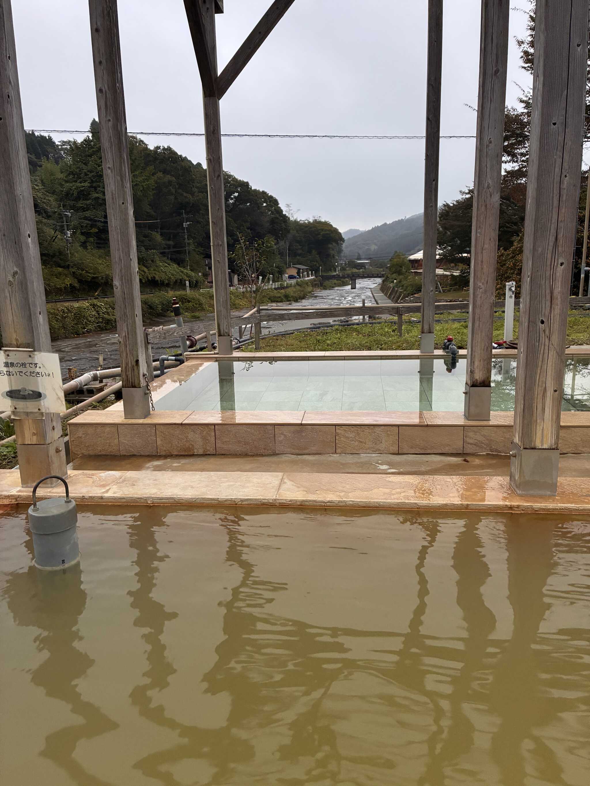 すぐ隣の芹川のせせらぎを聴きながら…