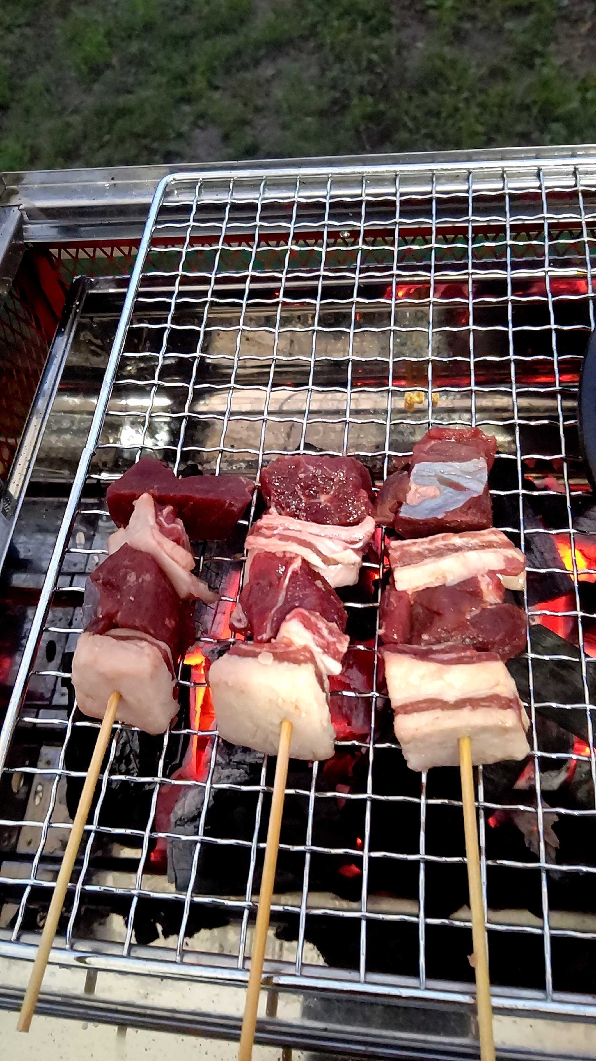 鹿肉串(最高)