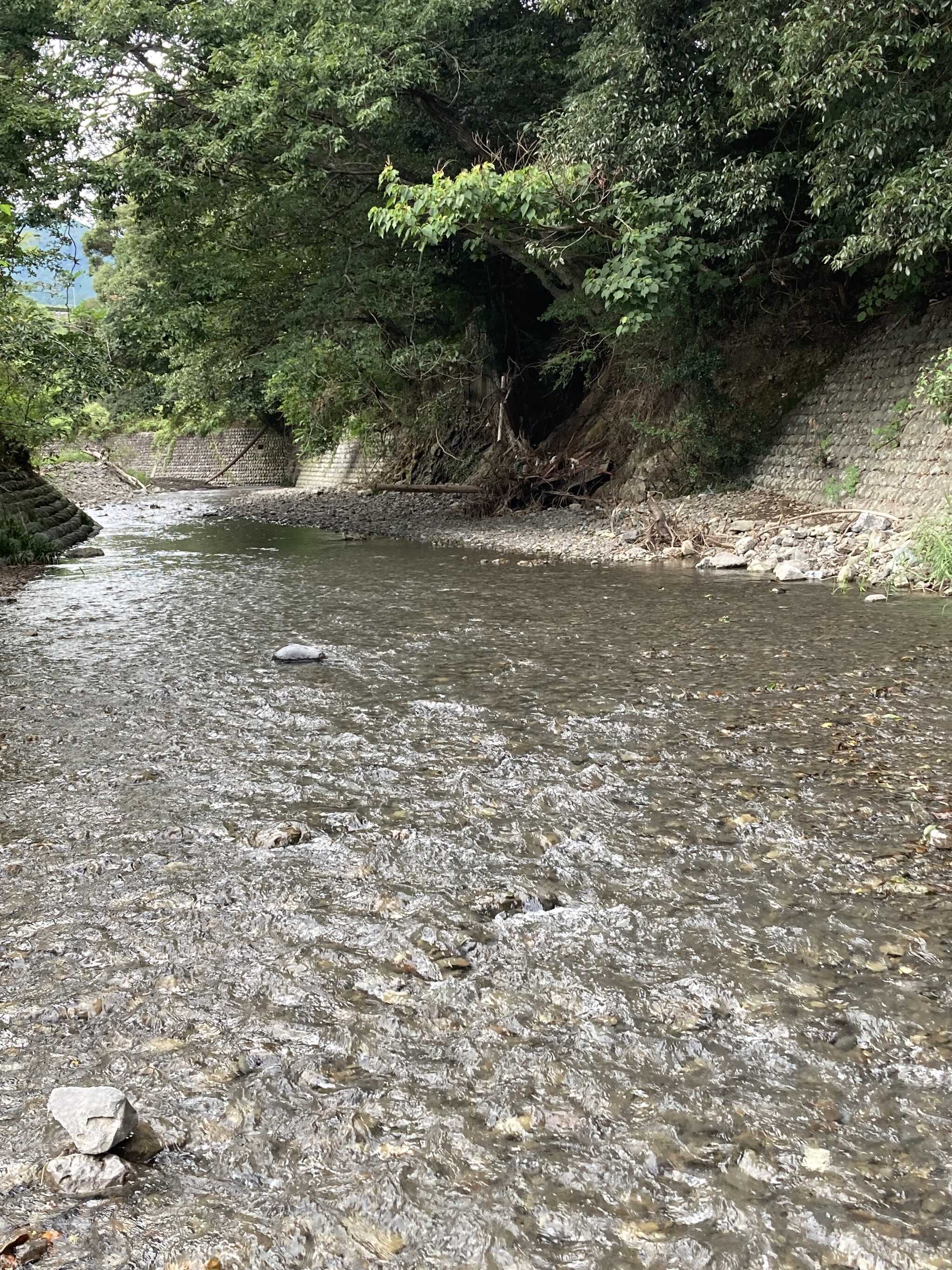 川遊び