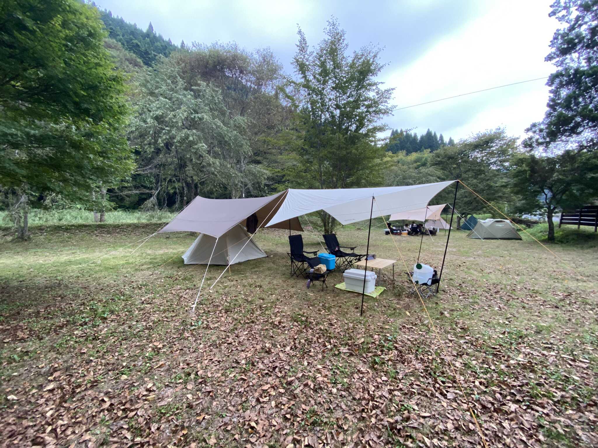 大雨だったので、過保護張りプラスもう一幕張らせていただきました。