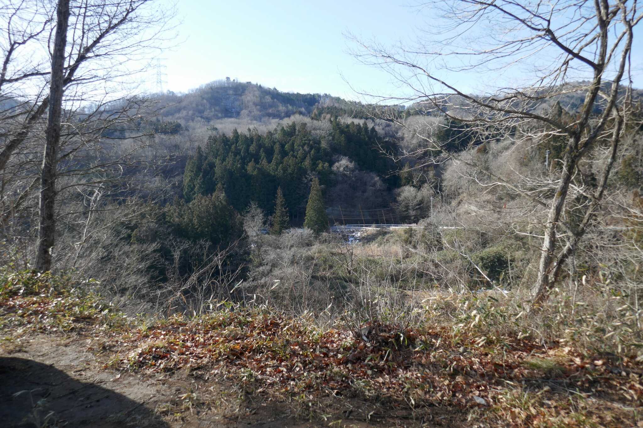 Eサイトから見た川の風景
