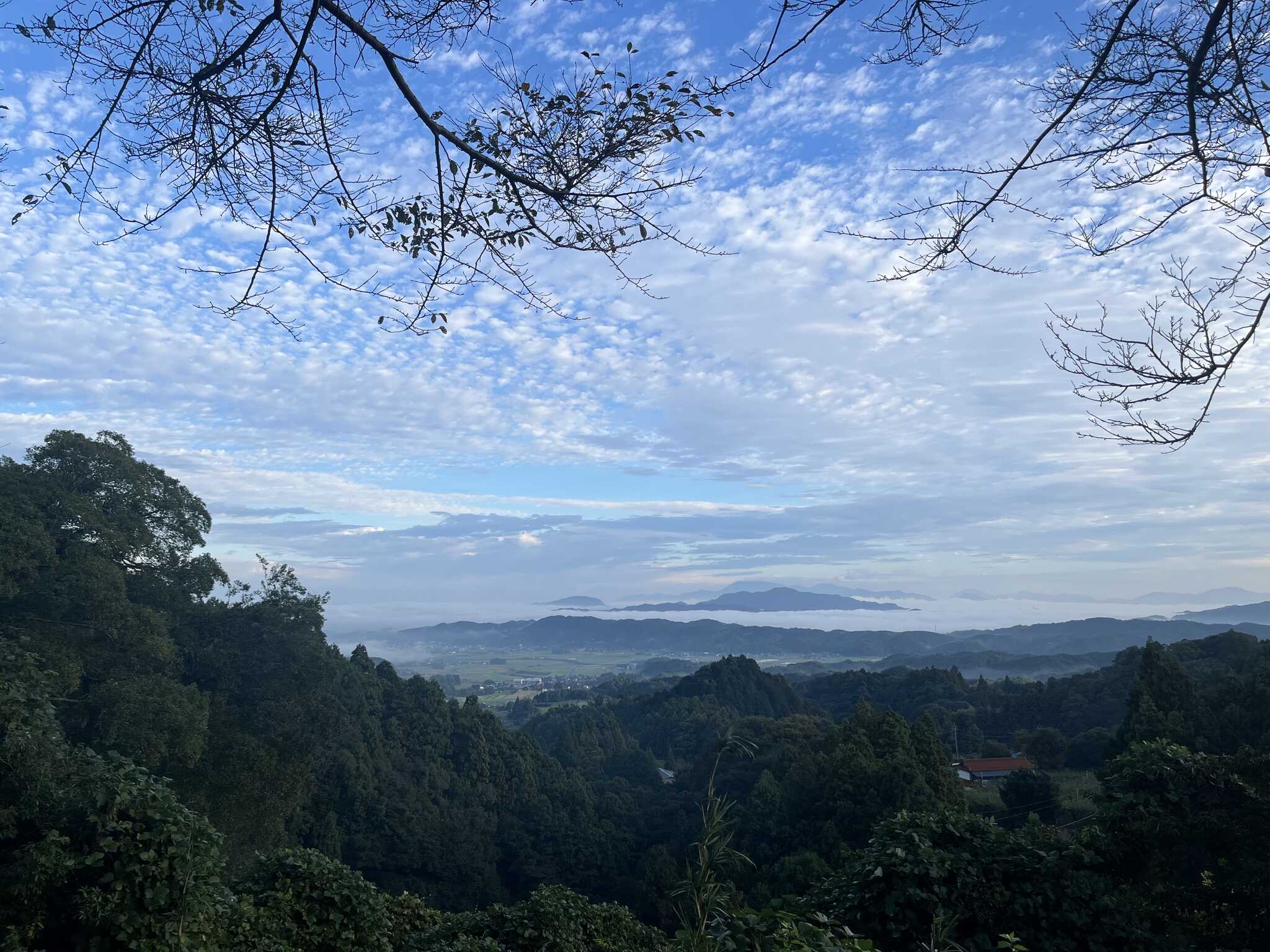 高台からの朝の景色