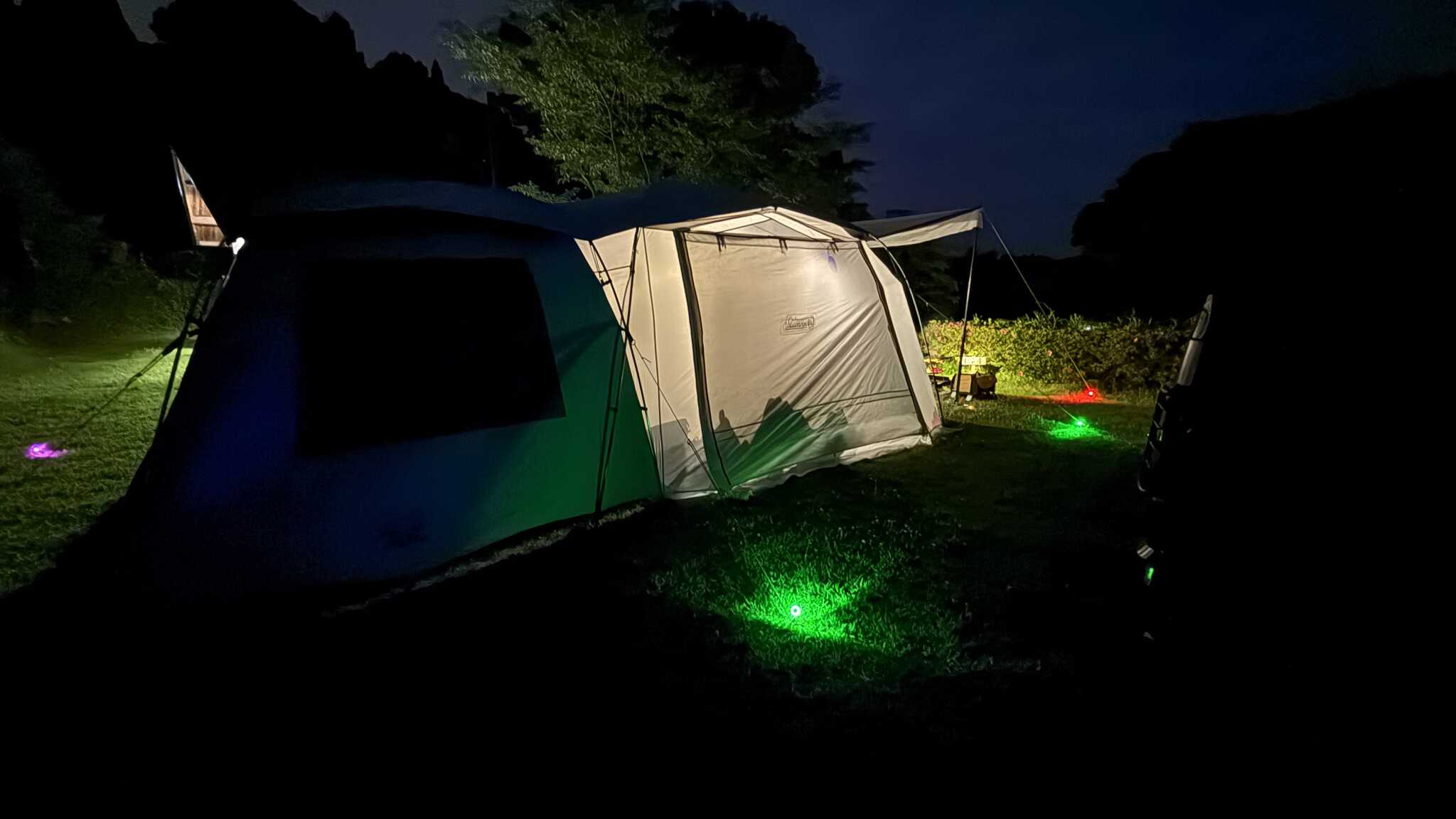 夜に撮ってみました。
