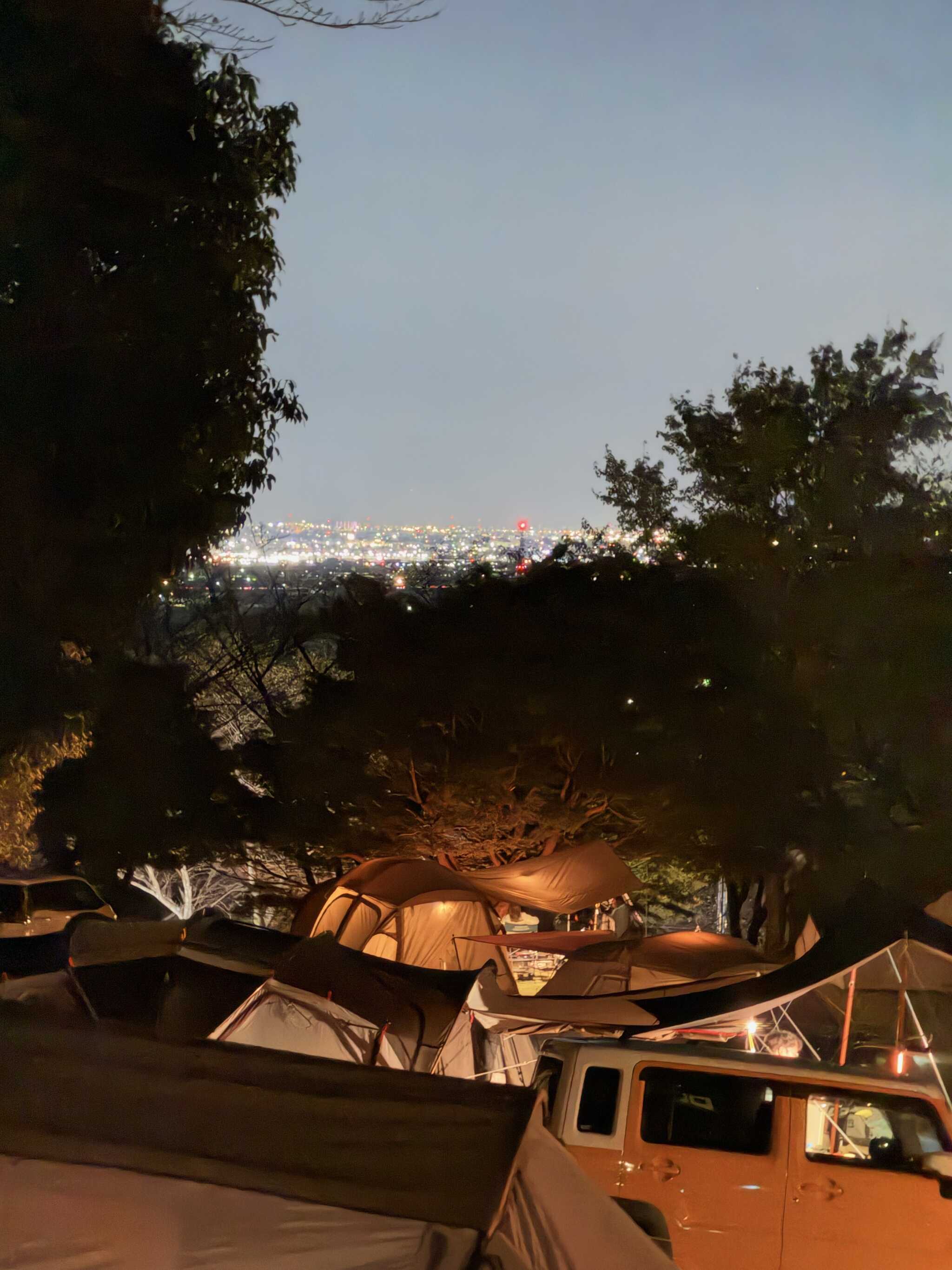 キャンプサイトからの濃尾平野夜景