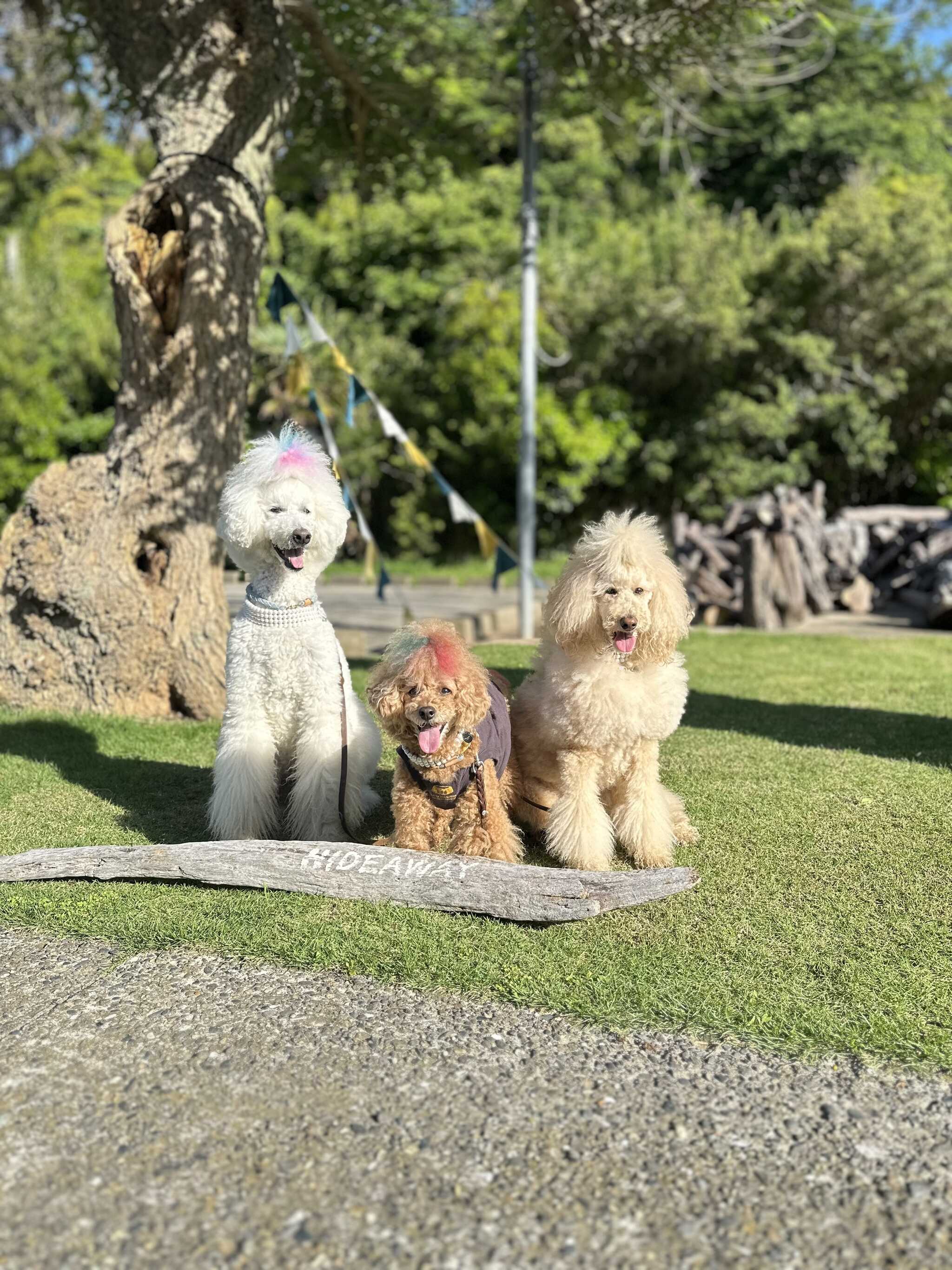 写真スポット