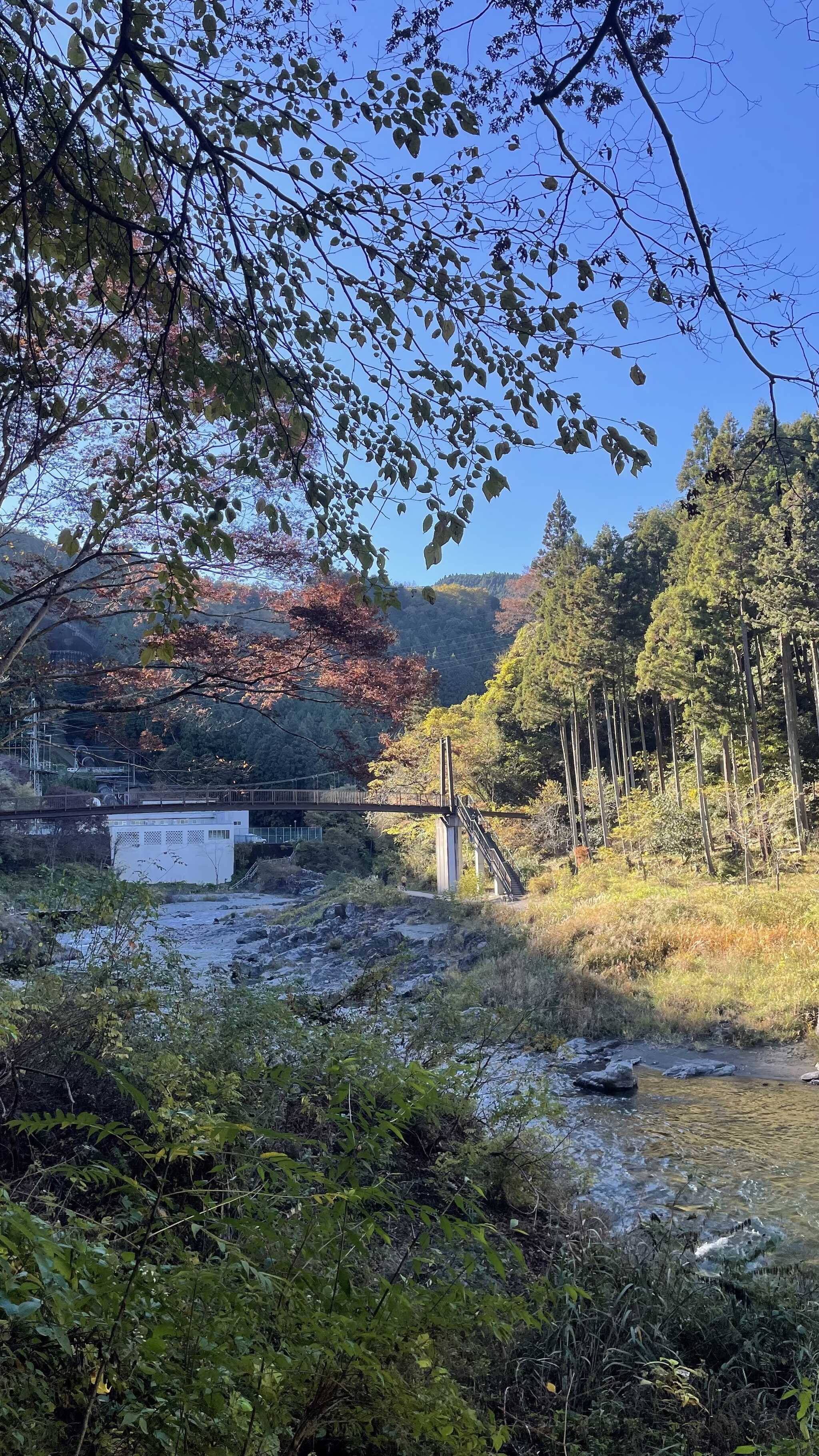 川の遊歩道もすぐ降りれます