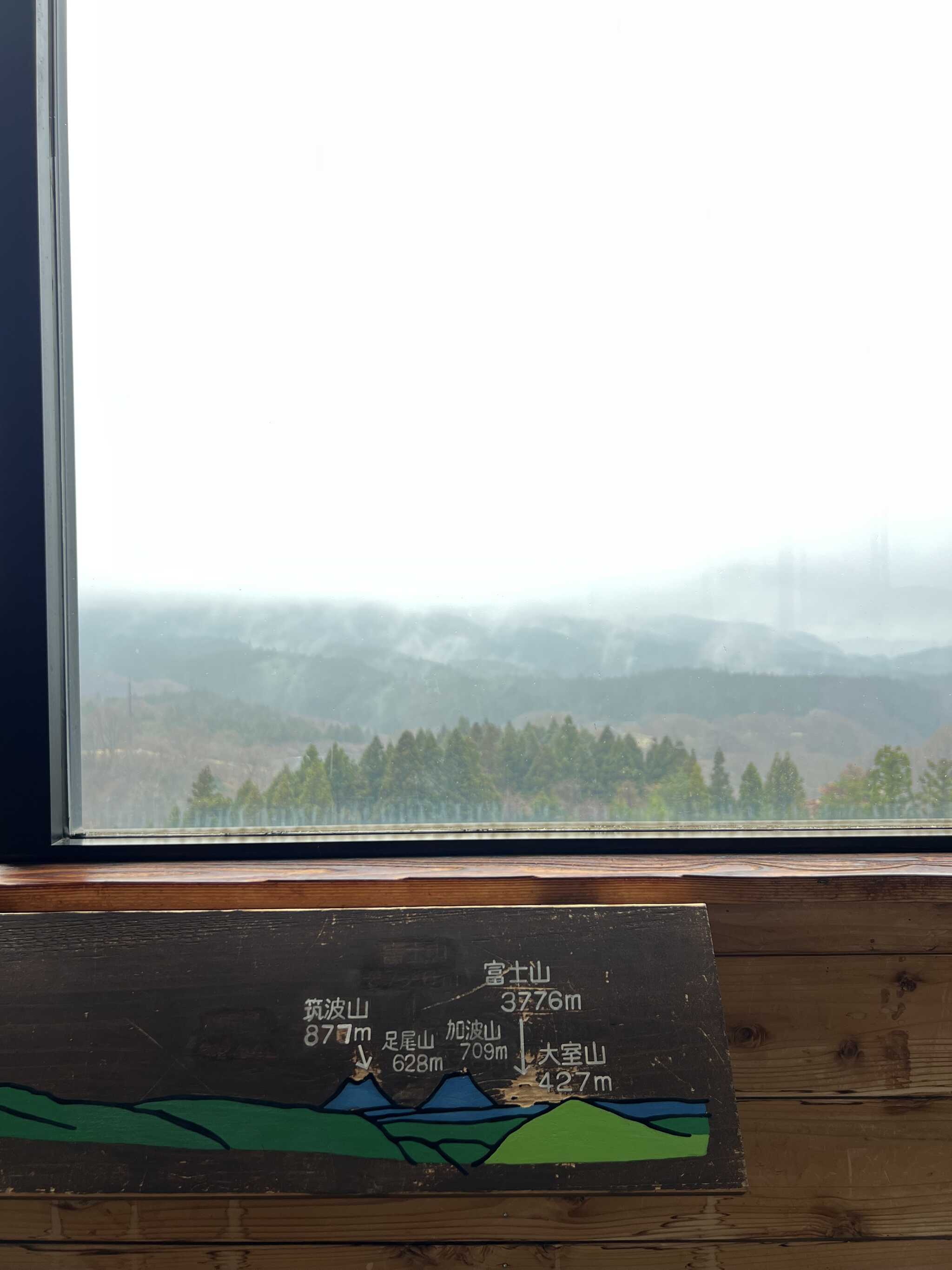 運が良ければ富士山が見れるかも!