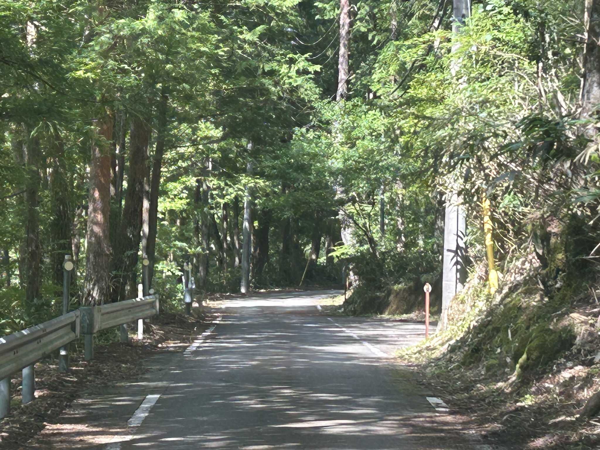 農園へ続く道