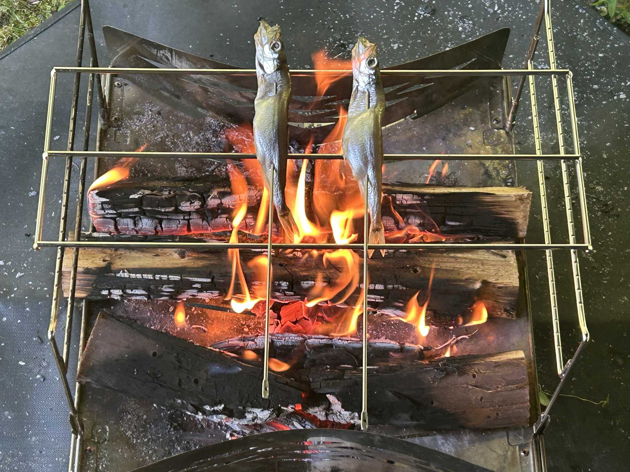 焼き魚