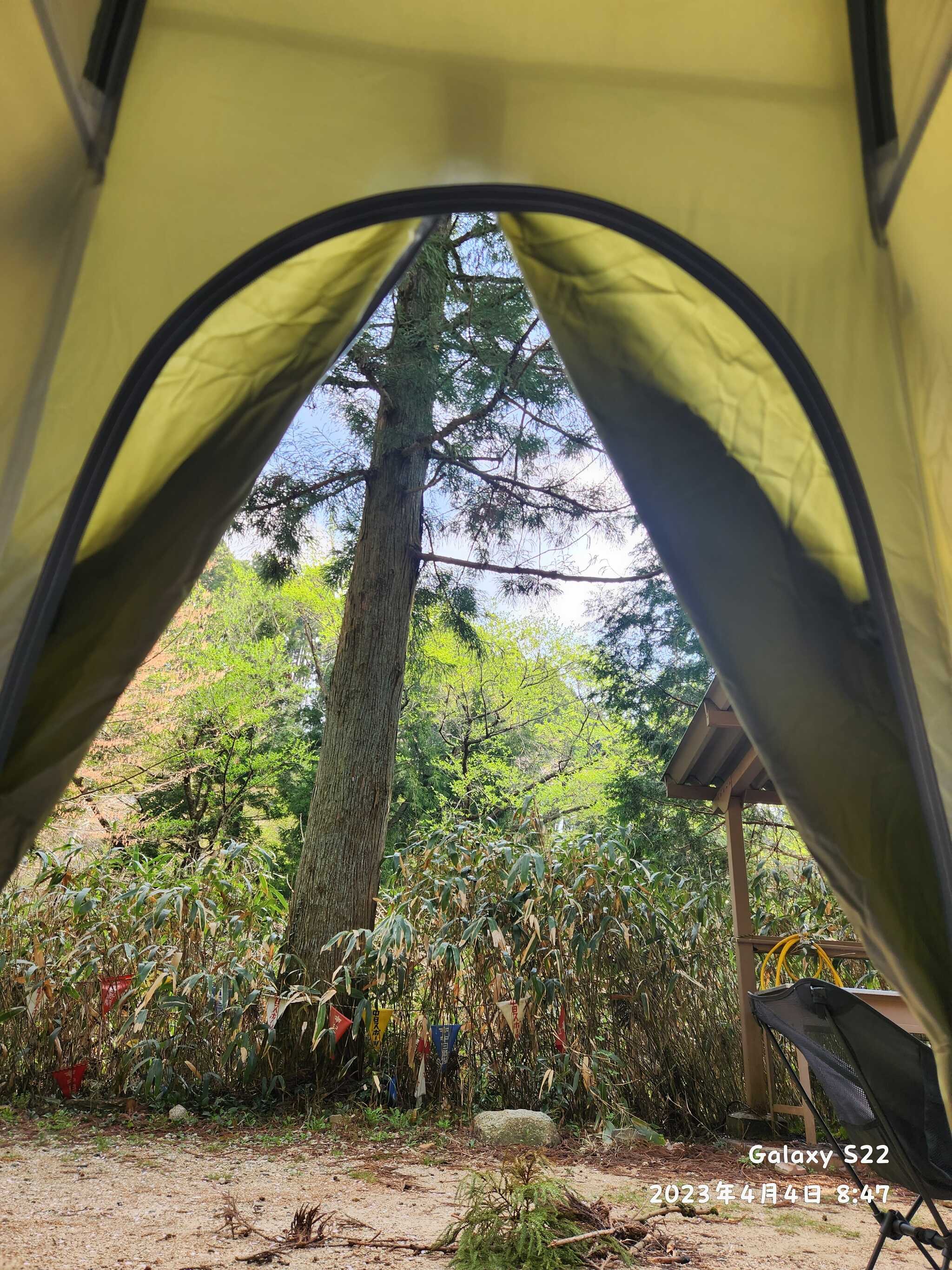 鳥居道山キャンプ場の写真 2枚目