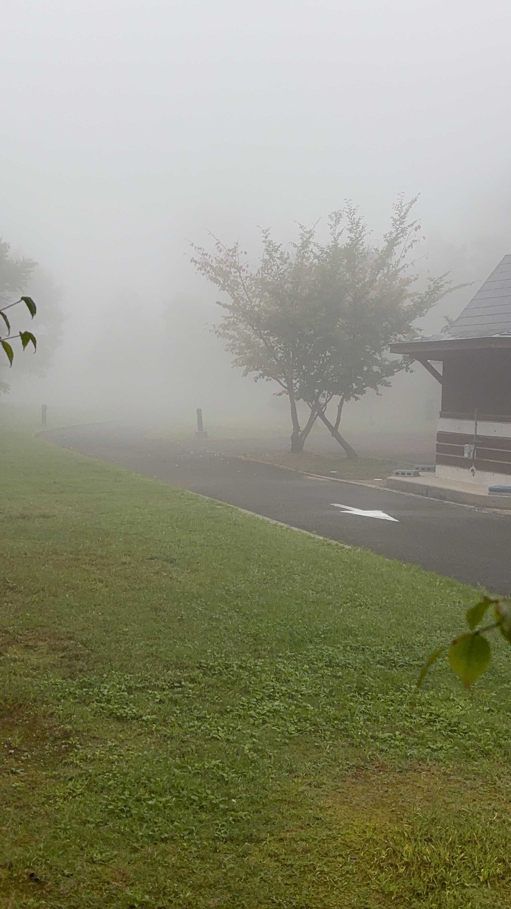 霧がすごい