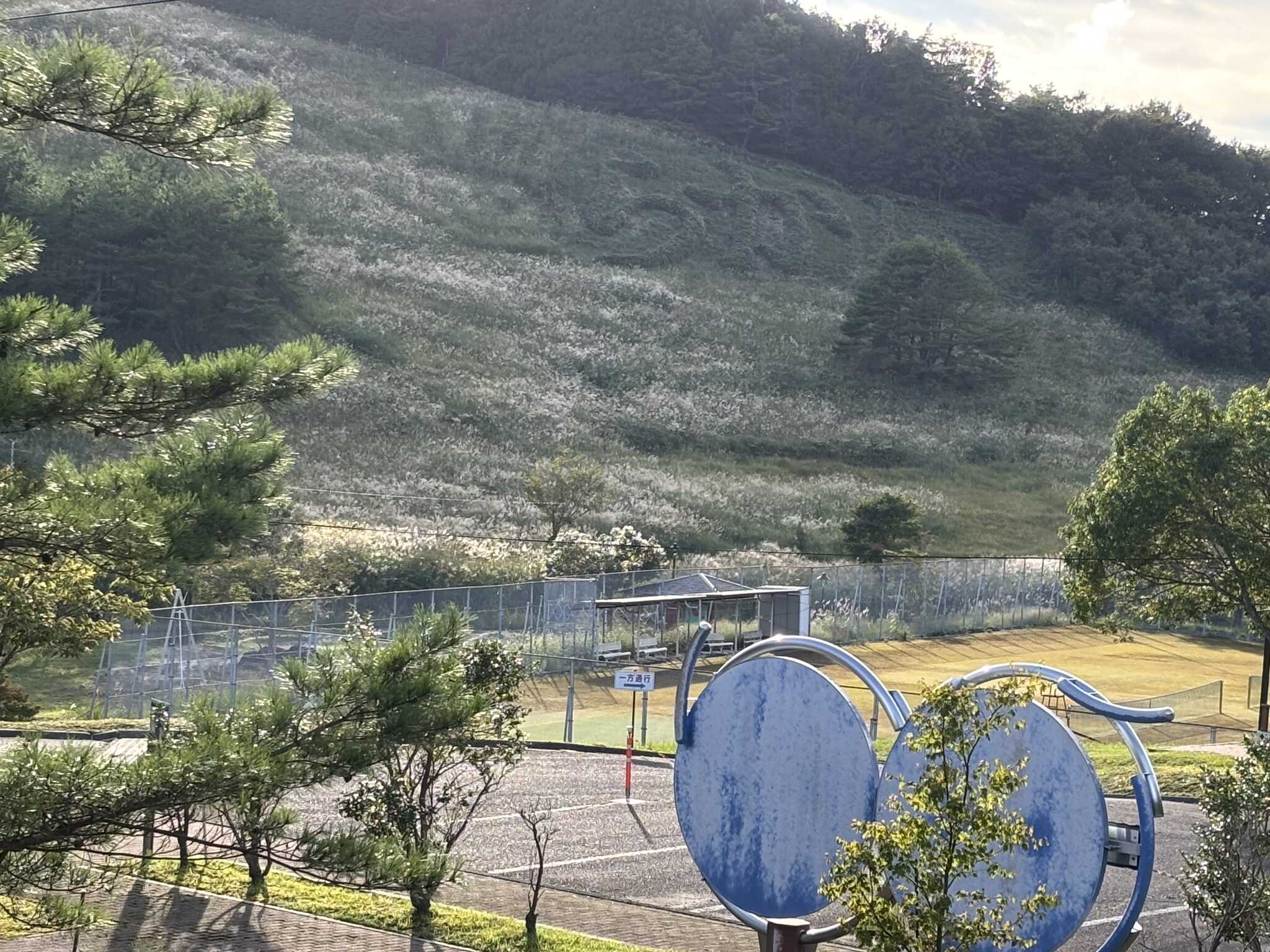 高原です