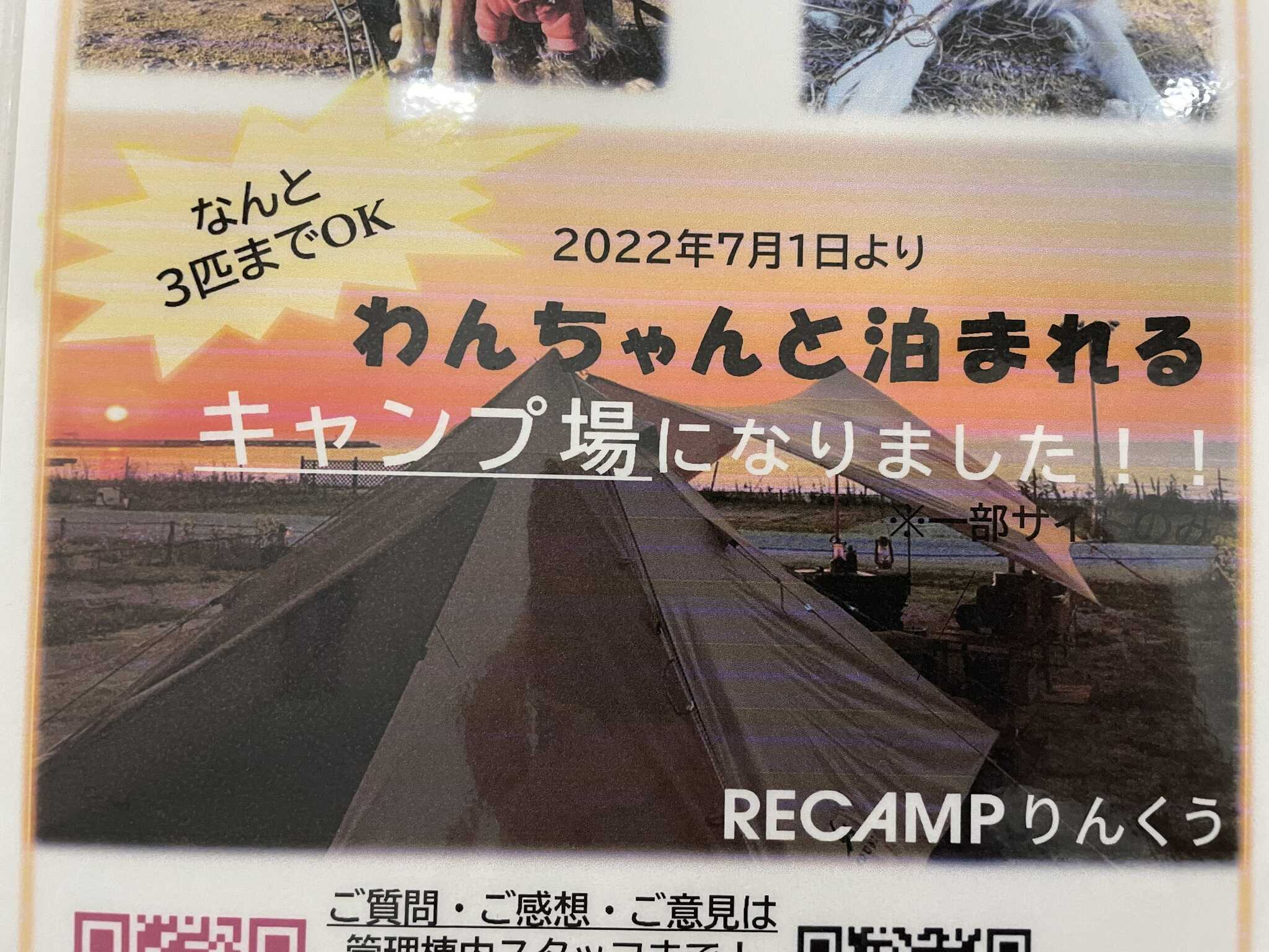 貼紙を発見